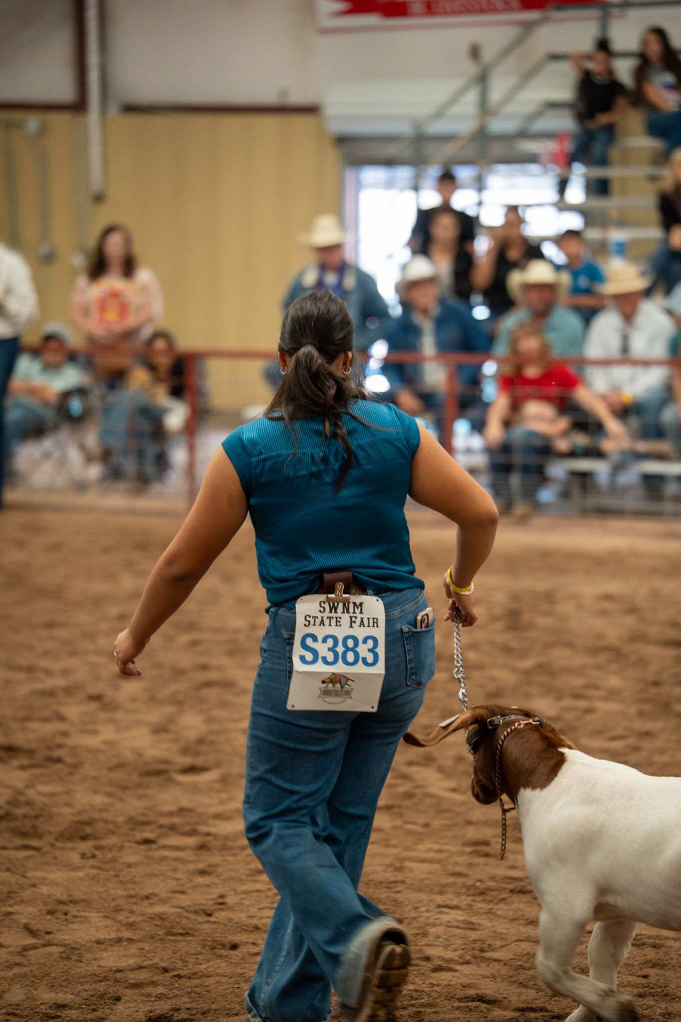 Participant with number tag leading a white goat through a dirt show ring at a livestock competition.