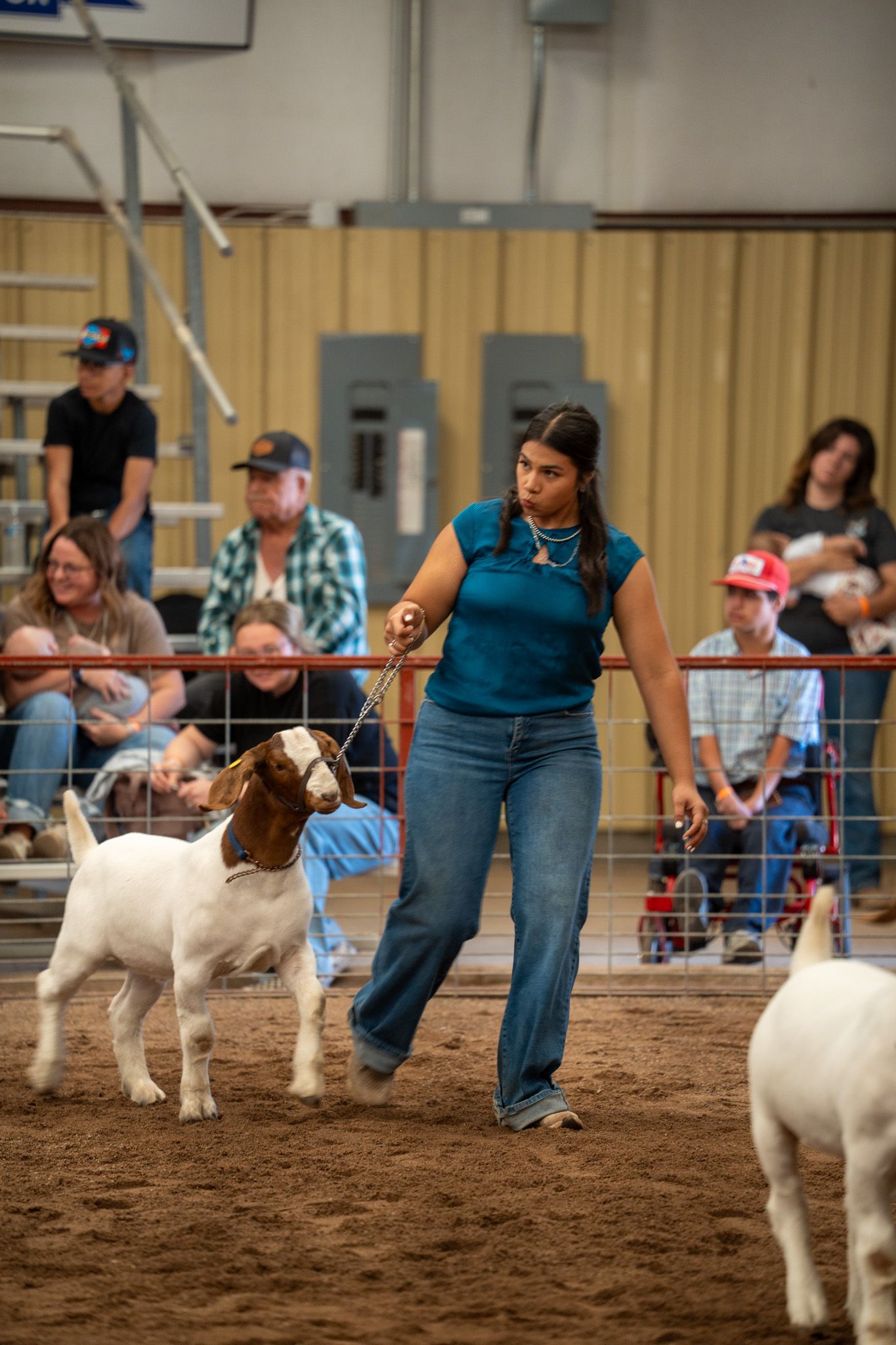 Show dogs and handlers competing in indoor arena with dirt floor.