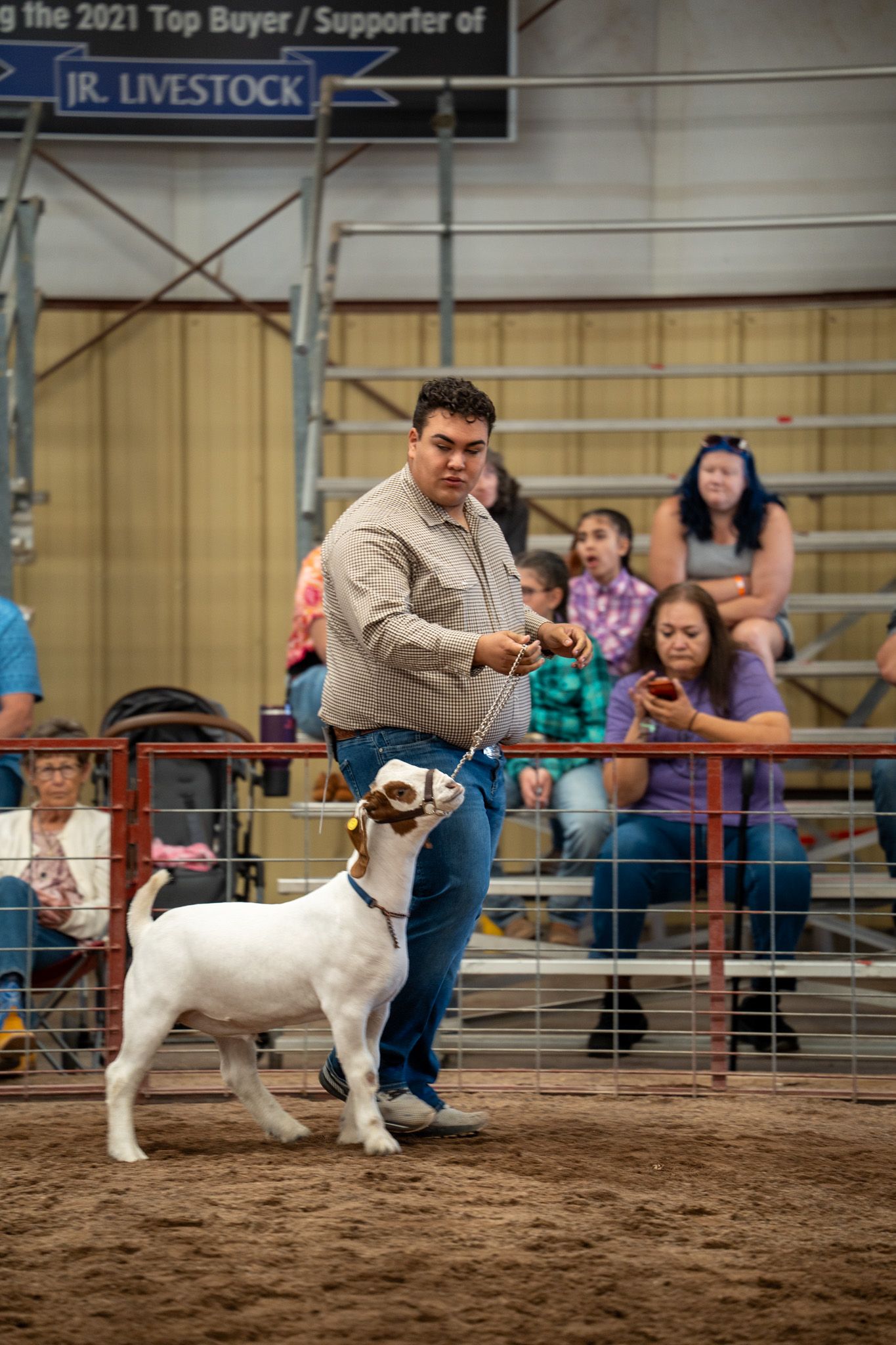 Livestock show participant guides a white goat through an indoor arena during a competition event.