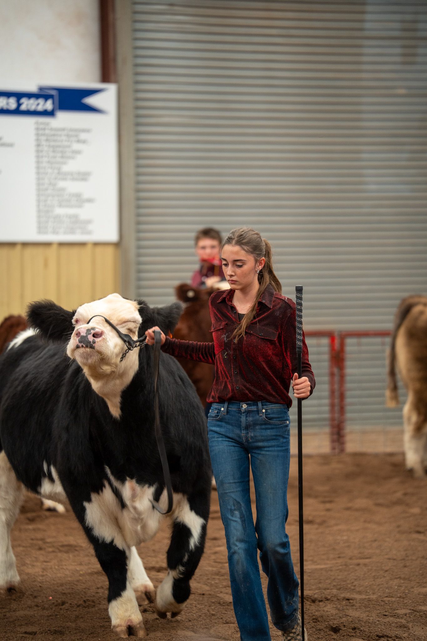 Black and white goat being shown in an indoor arena during a livestock competition.