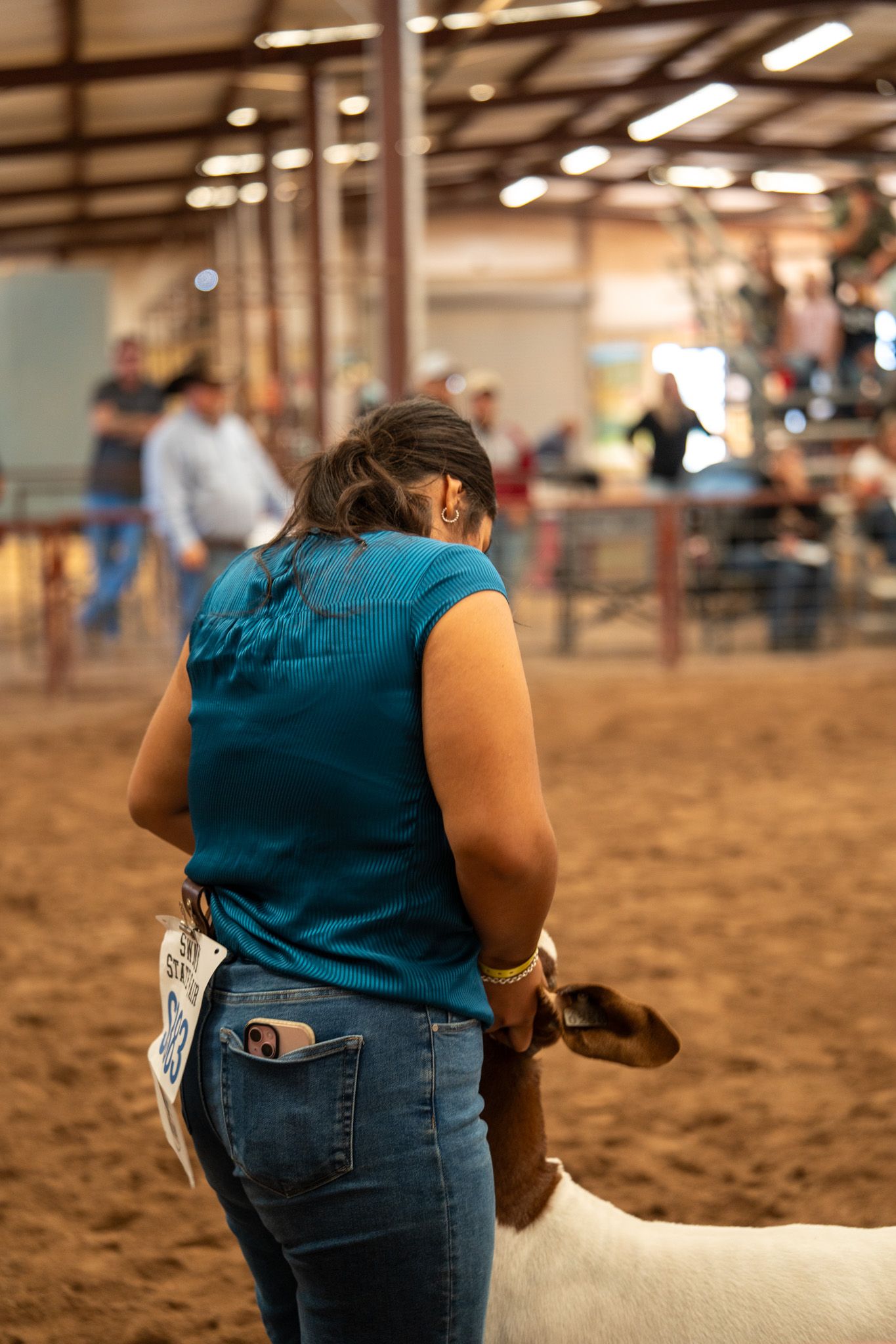 A person in blue jeans and teal shirt handles livestock in an indoor arena with sandy flooring.