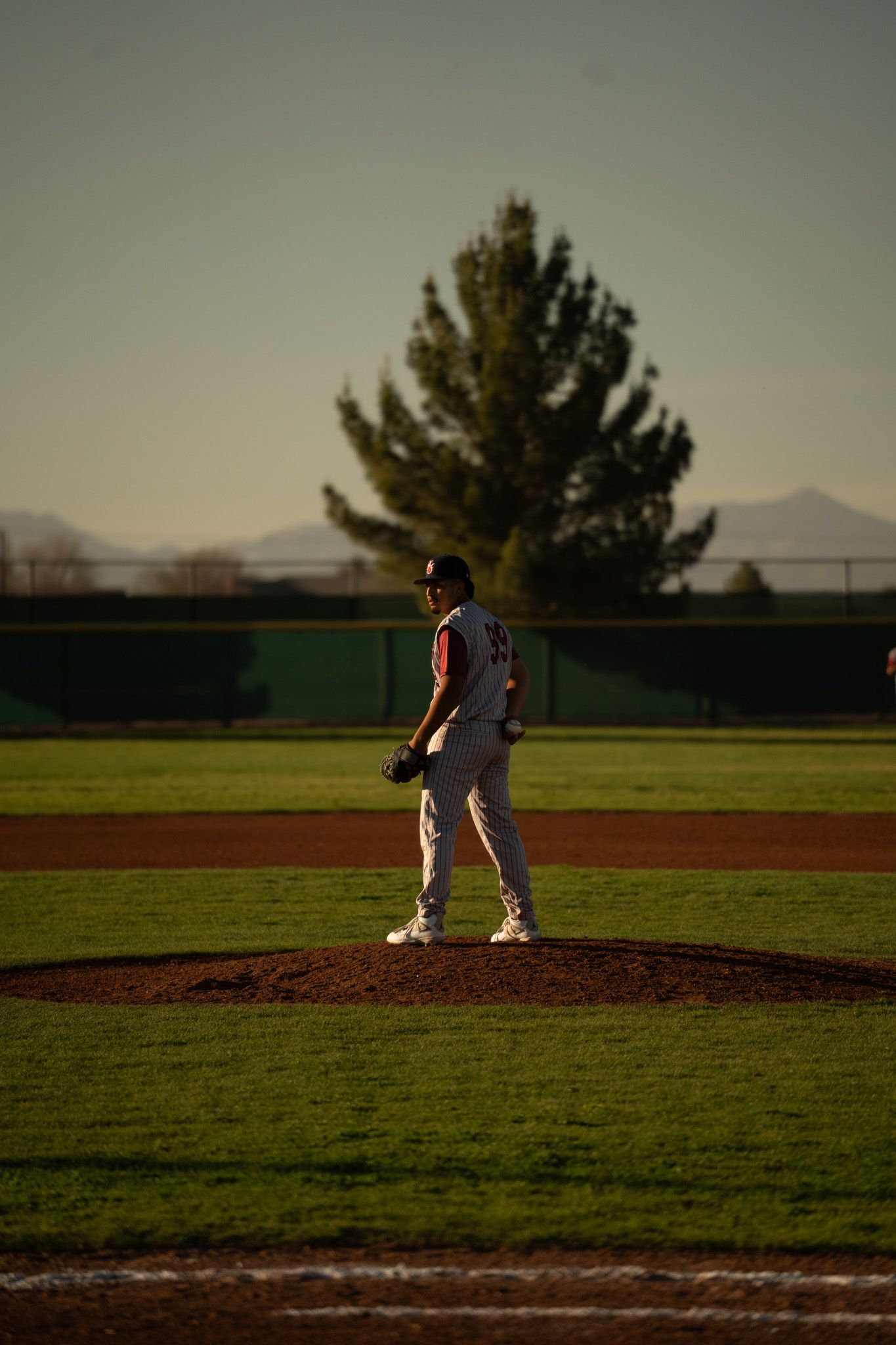 Baseball pitcher stands on the mound at sunset with a pine tree and mountains in the background.