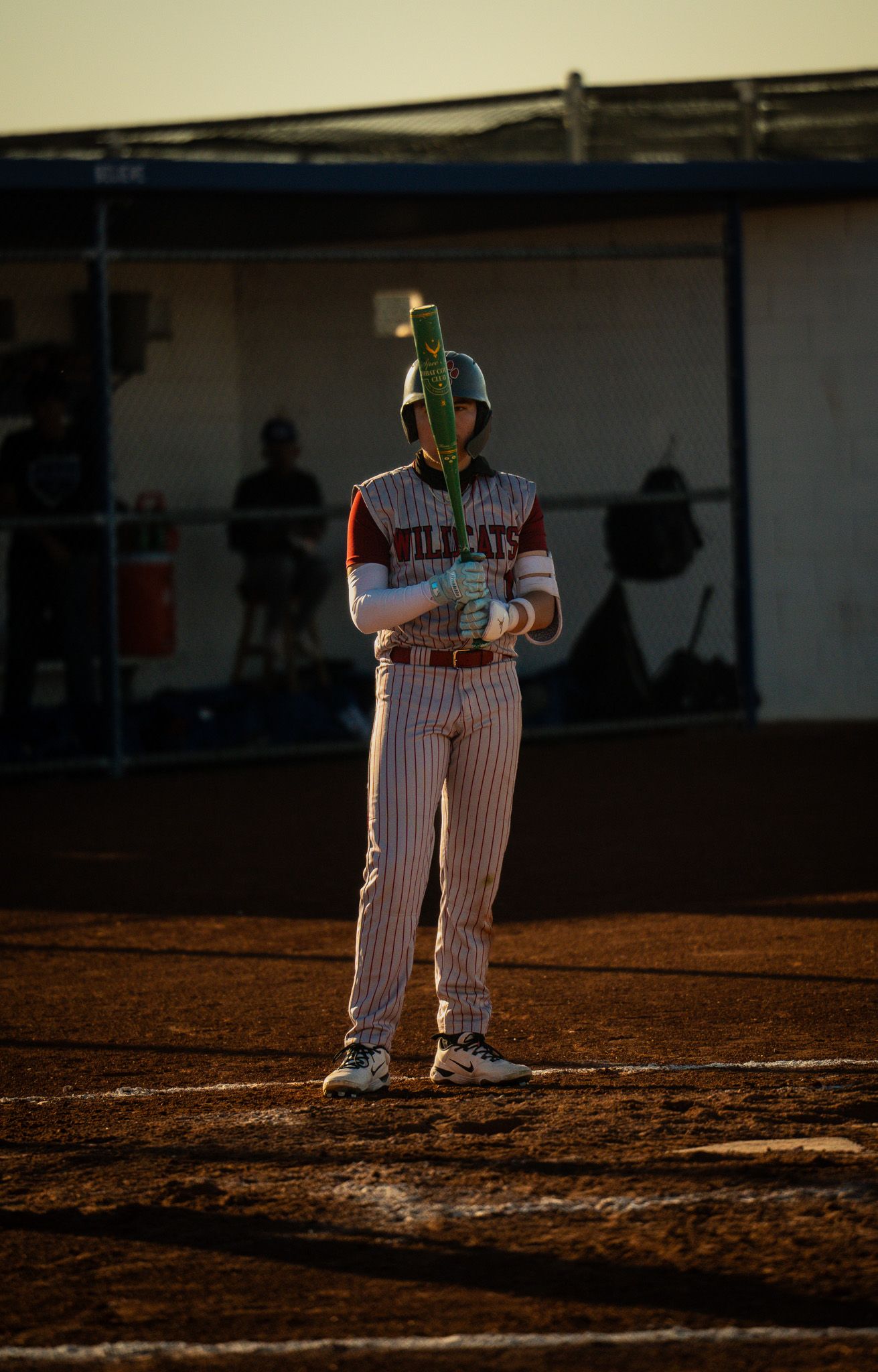 Baseball player stands at home plate in pinstriped uniform during golden hour lighting.
