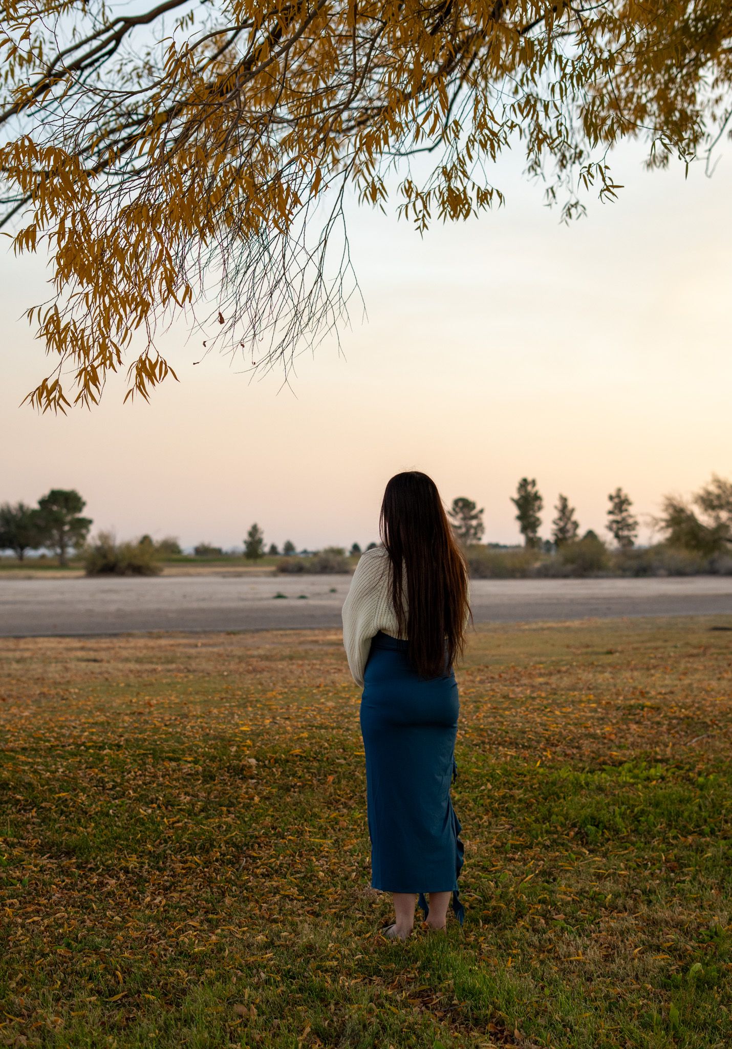 Silhouette of a person in a long dress standing in a field at dusk.