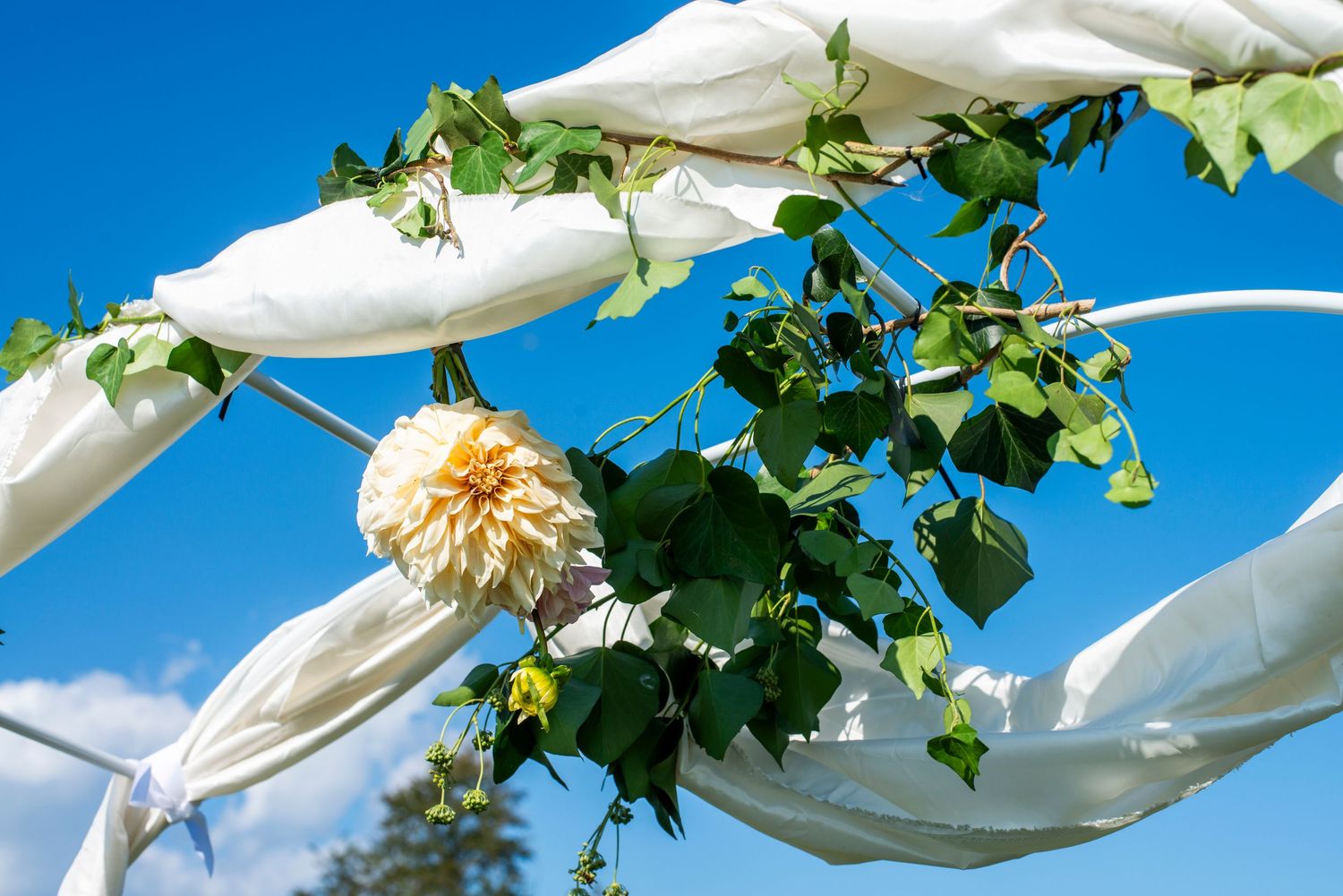 Close up of white dahlias, greenery and white fabric wrapped around ceremony arch against blue sky before wedding in Coatesville, PA.