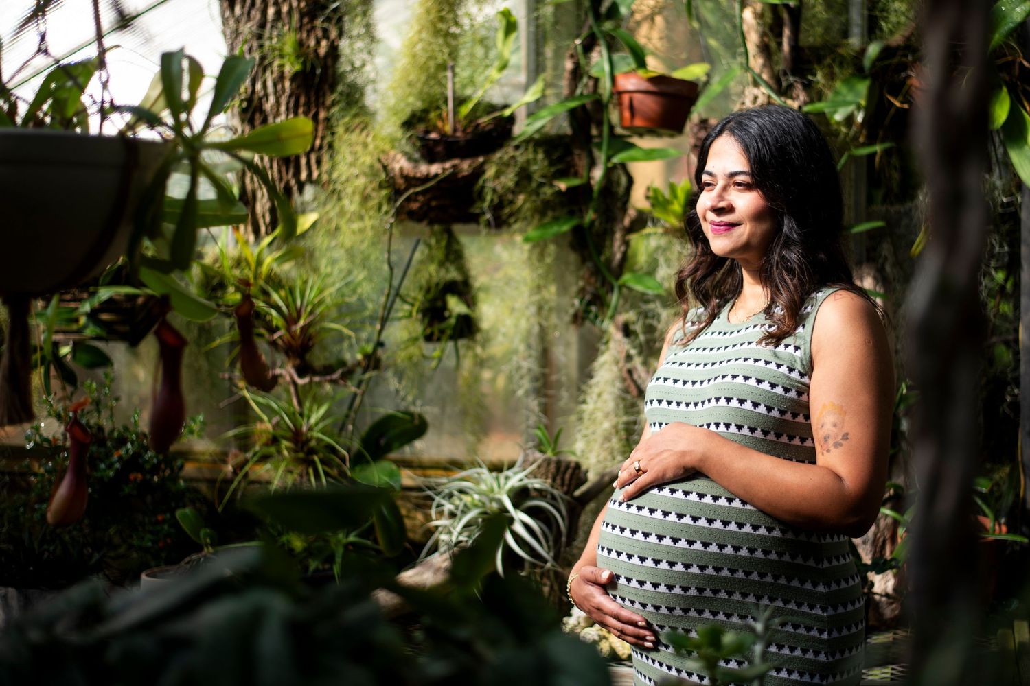 Beautiful pregnant woman poses in the greenhouse at Deep Cut Gardens, NJ holding her belly.