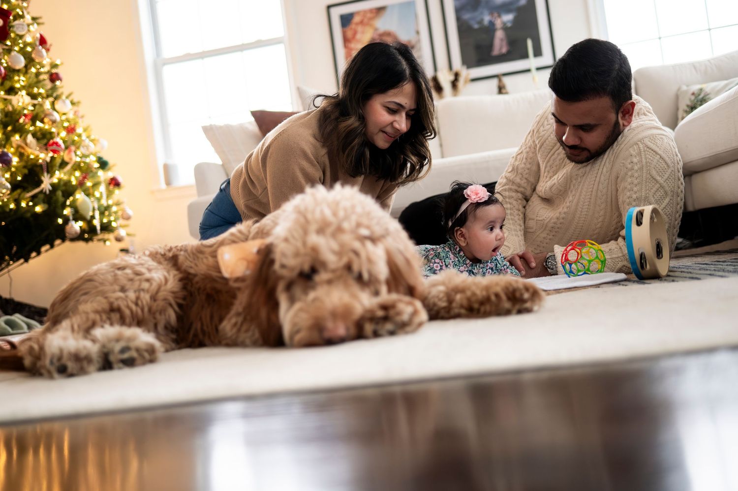 Golden doodle lays on floor with his family as new parents play with their baby girl in front of the Christmas tree in Woodridge, New Jersey