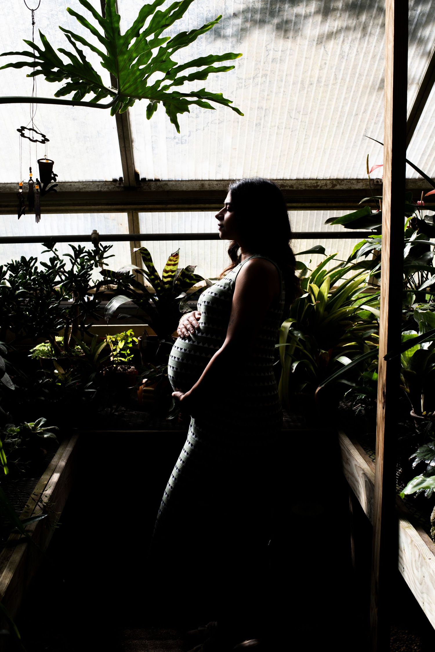 Silhouette of pregnant mom against window of greenhouse at Deep Cut Gardens in New Jersey.