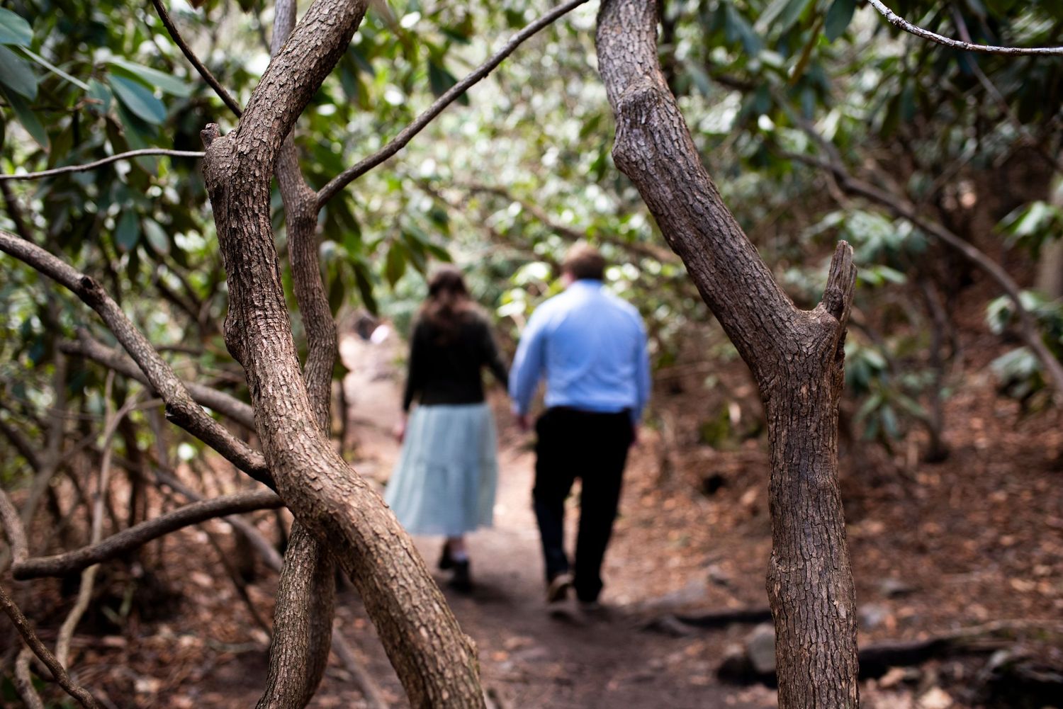 Portrait of couple from behind framed by tree branches during engagement shoot at Hawk Falls in Pennsylvania.