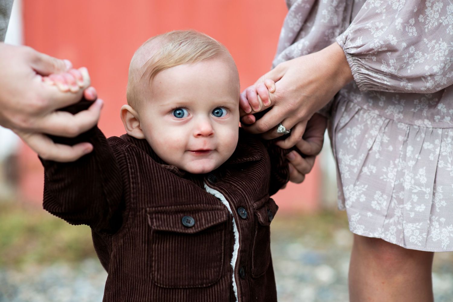 Toddler portrait close up as he walks with parents hands.