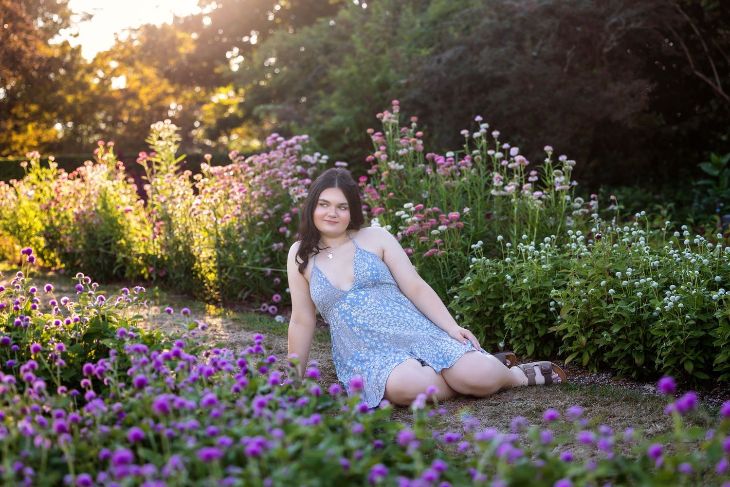 Person relaxing in a garden filled with purple wildflowers at sunset.