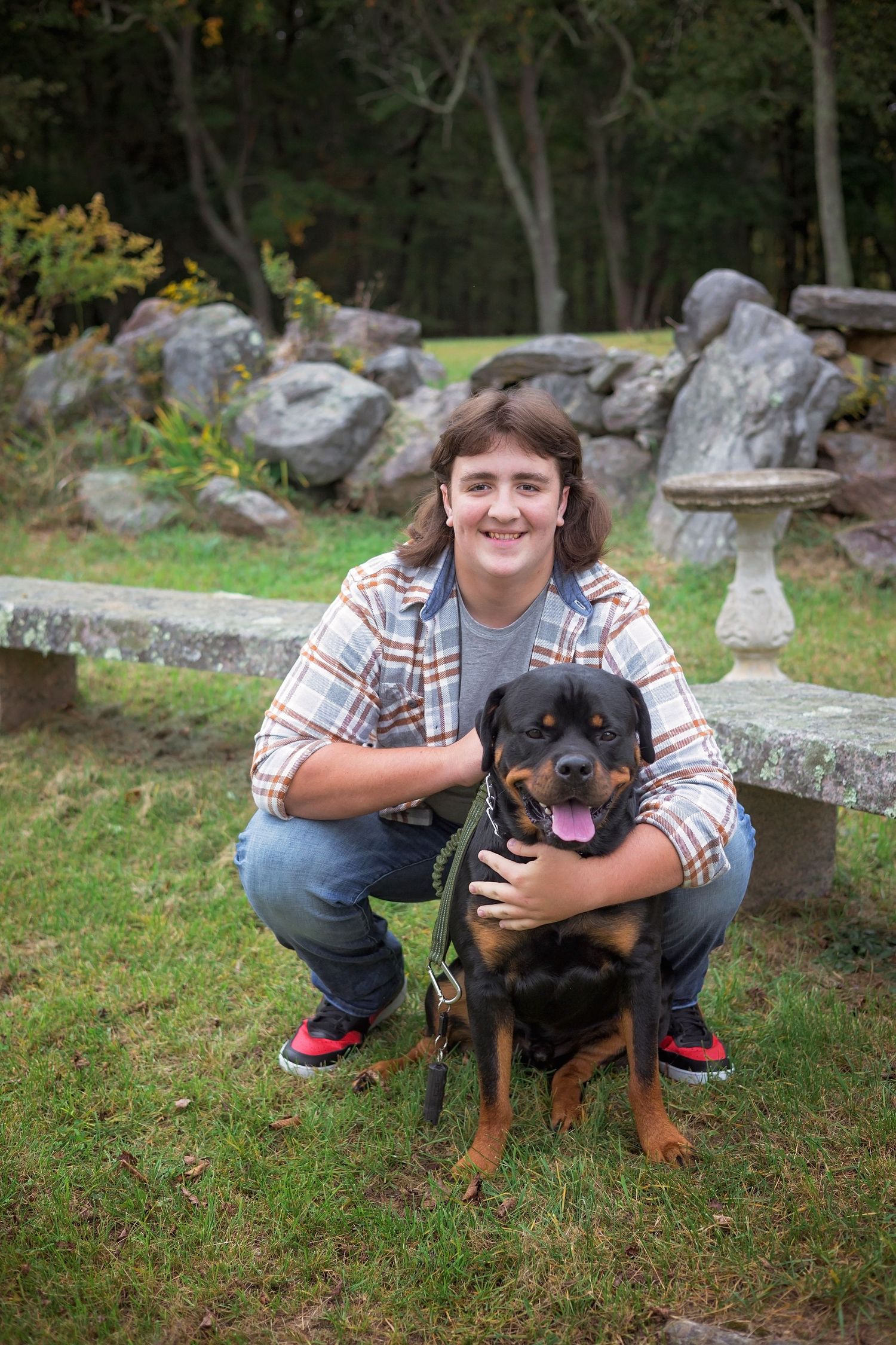 A Rottweiler dog poses with someone in a plaid shirt on grass with decorative rocks and landscaping in the background.