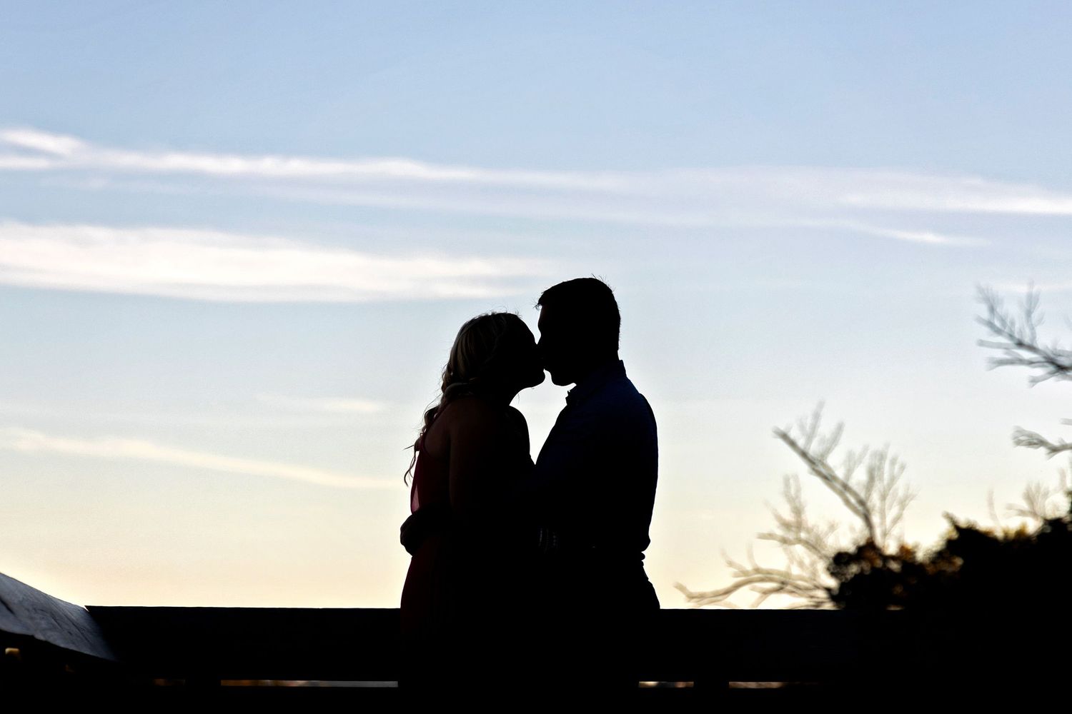 Silhouetted couple embraces against a sunset sky with trees in the background.