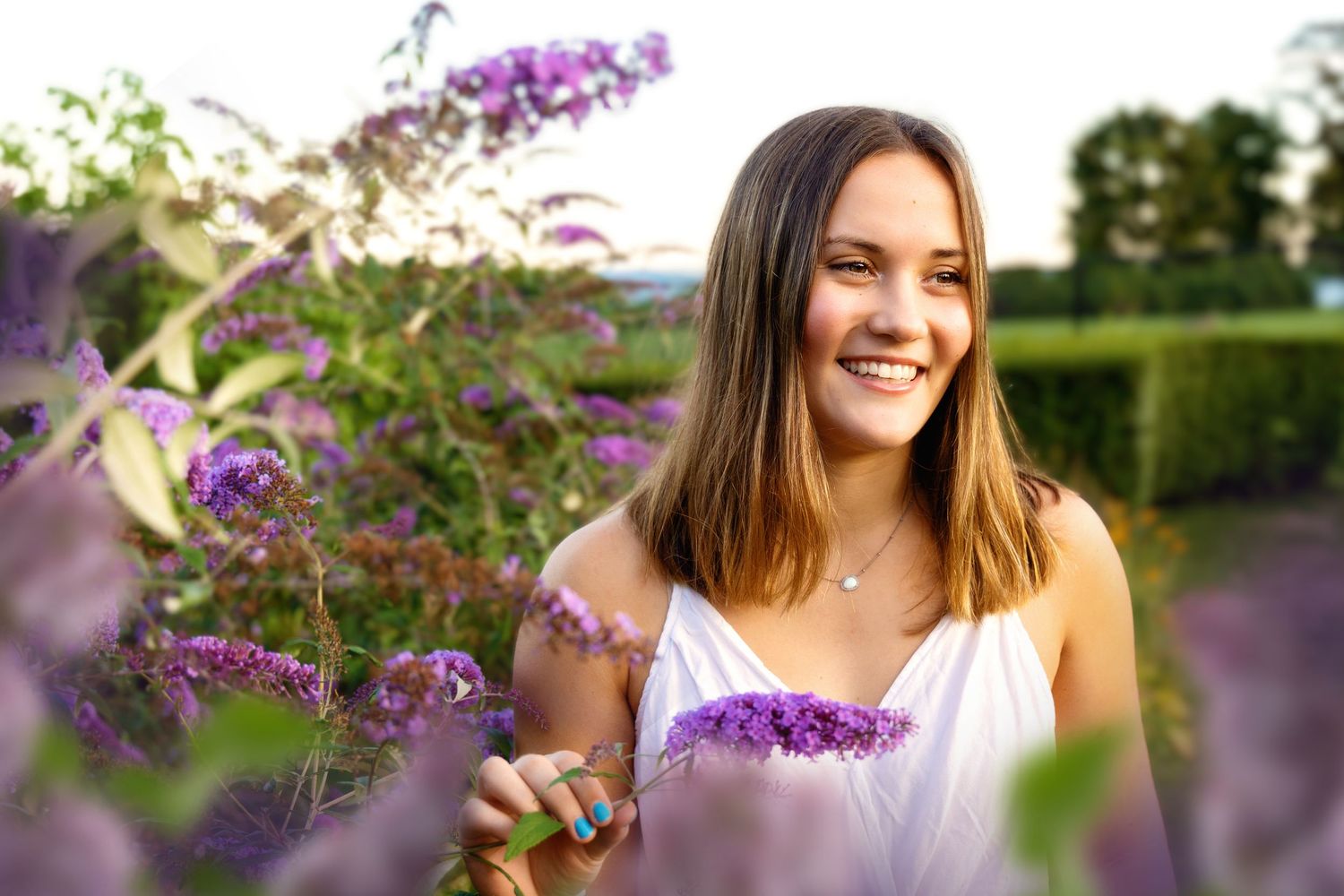 Purple wildflowers bloom in a sunny meadow during golden hour creating a dreamy summer atmosphere.