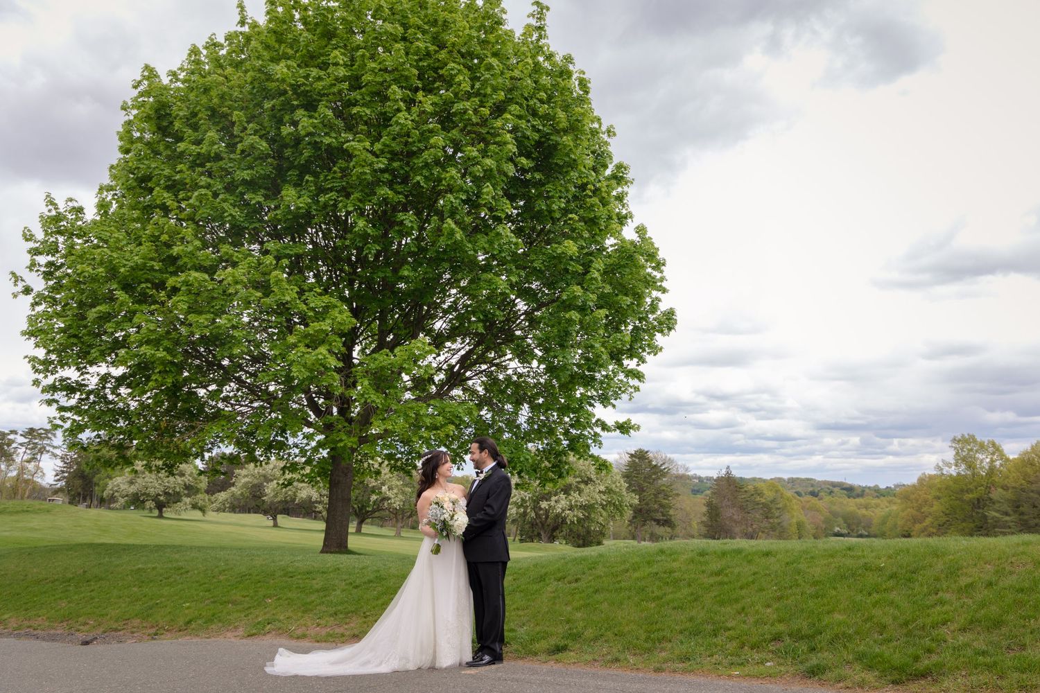 A couple in wedding attire stands beneath a large green tree on a hilltop with cloudy skies in the background.