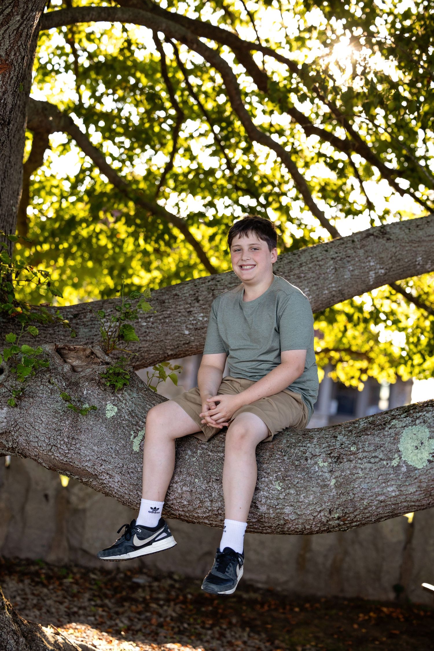 Someone relaxes on a large tree branch on a sunny day, with dappled sunlight filtering through the leaves.