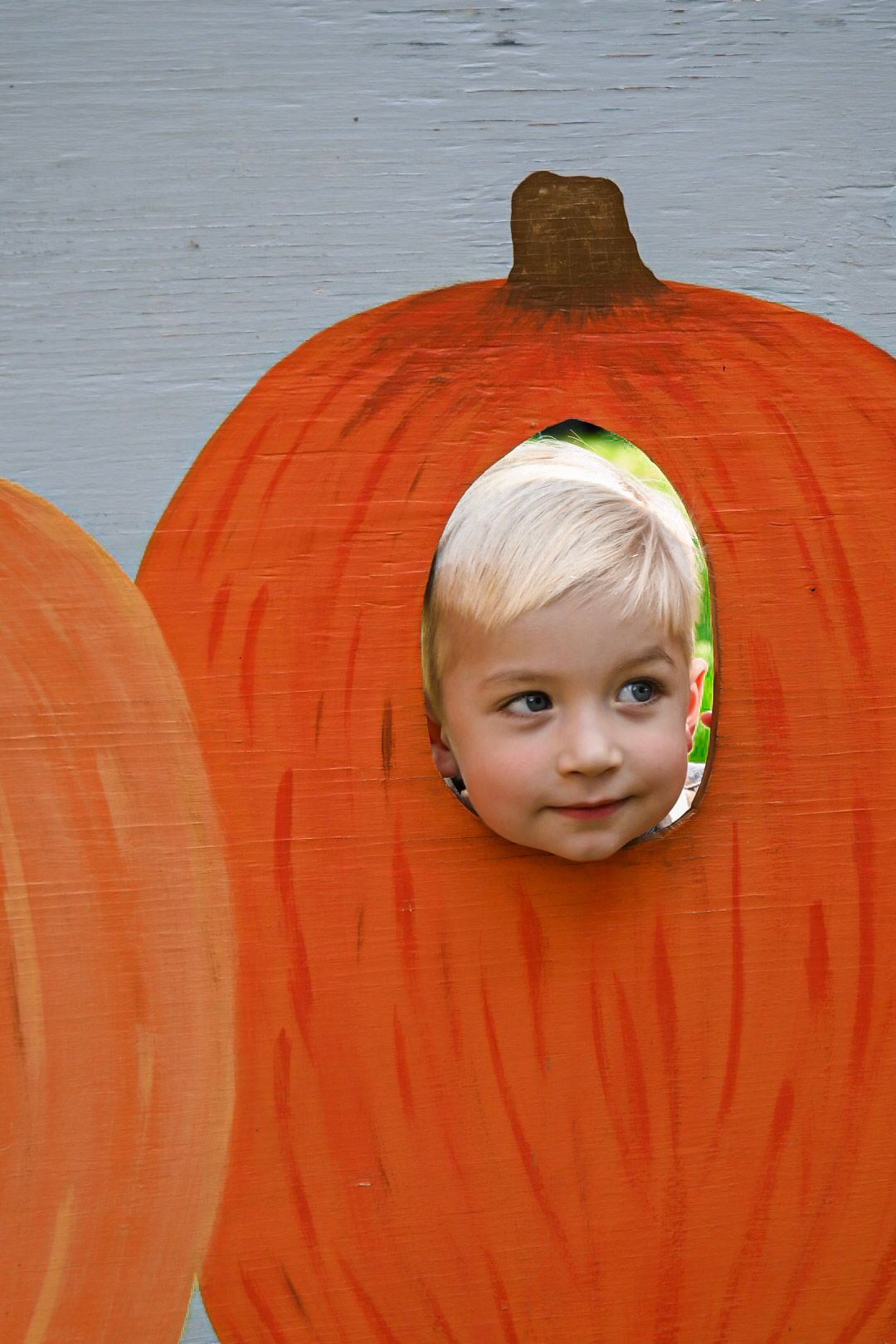 Creative autumn photo showing child peeking through painted orange pumpkin cutout.