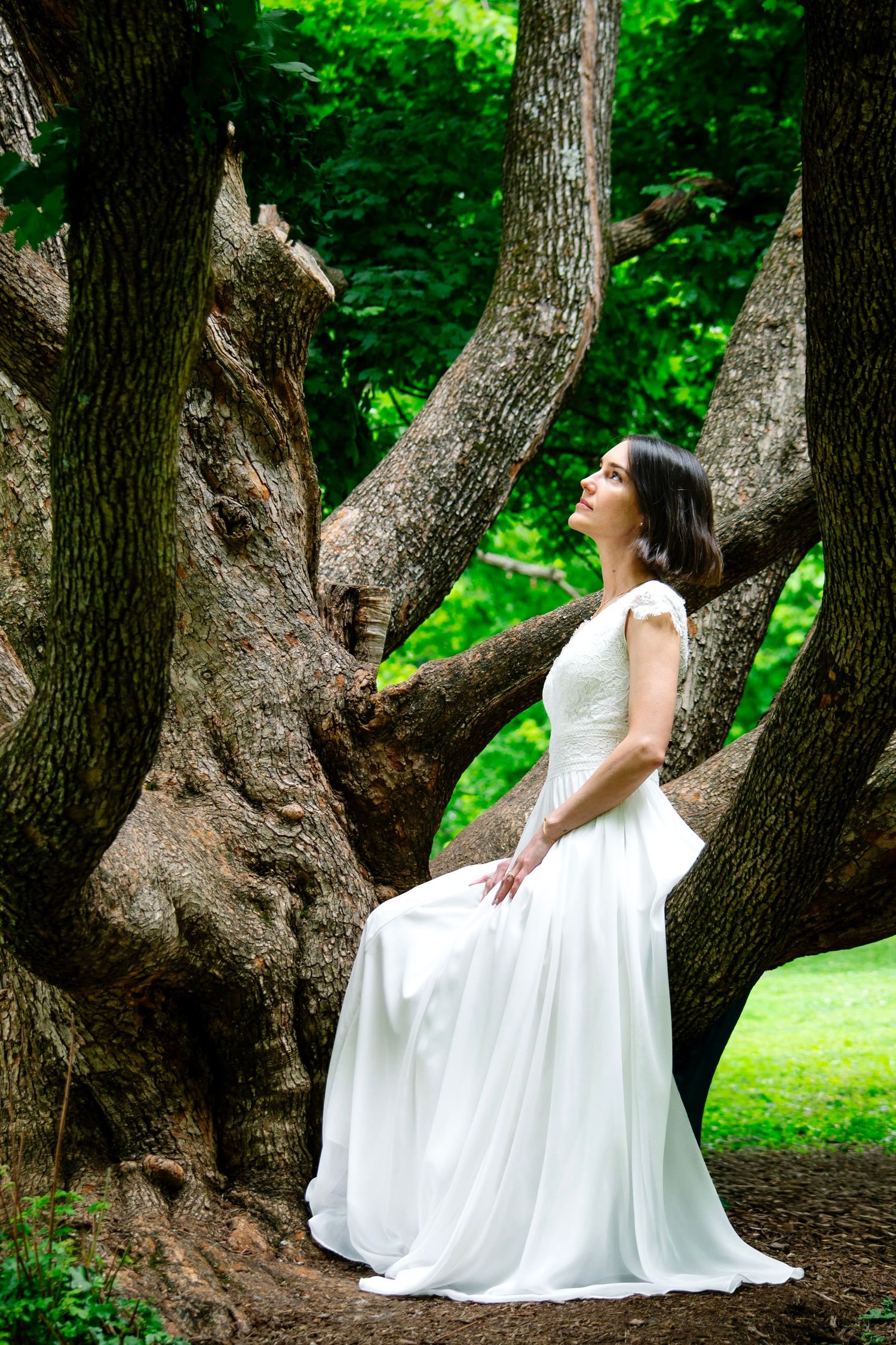 Bride in white gown sits gracefully among ancient tree trunks in a lush green forest setting.