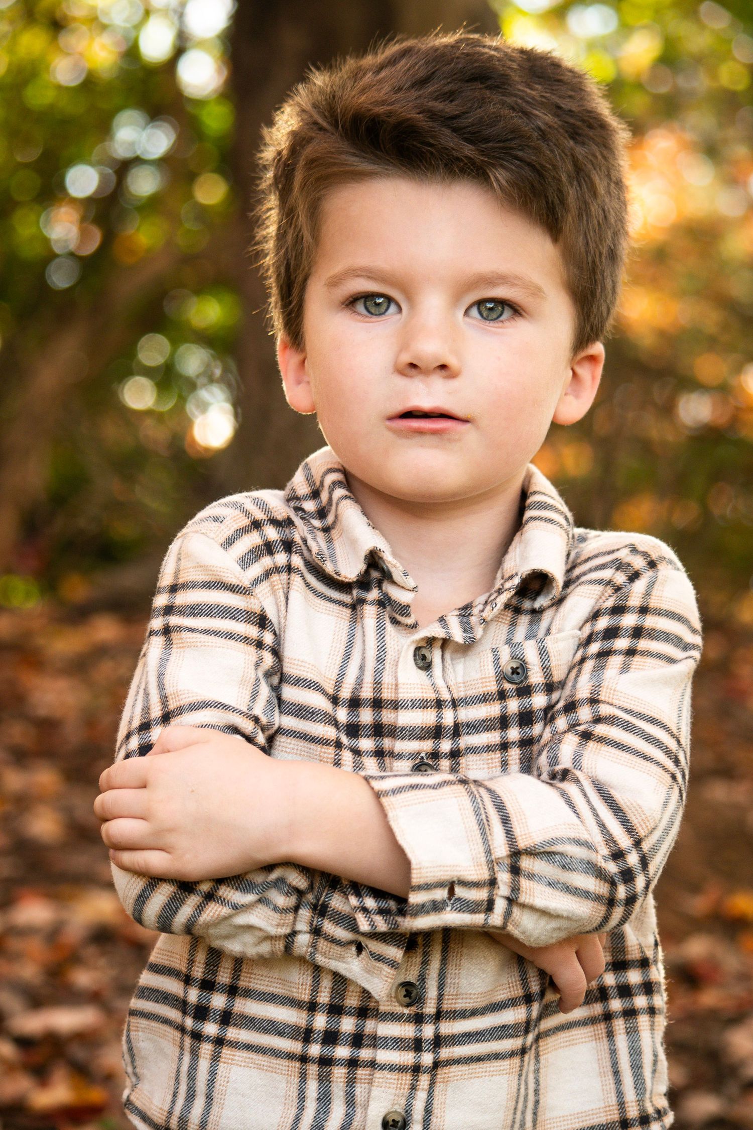 Young child in plaid button-down shirt poses outdoors with crossed arms against autumn background.
