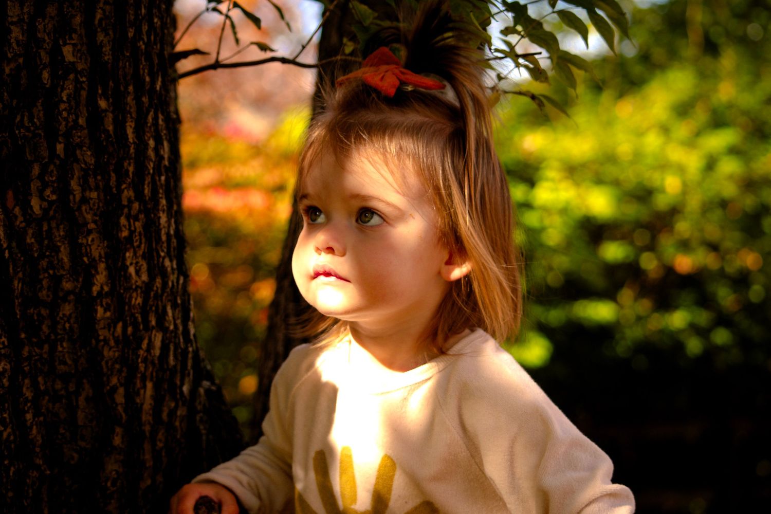 Child in beige sweater standing by tree in warm autumn lighting.