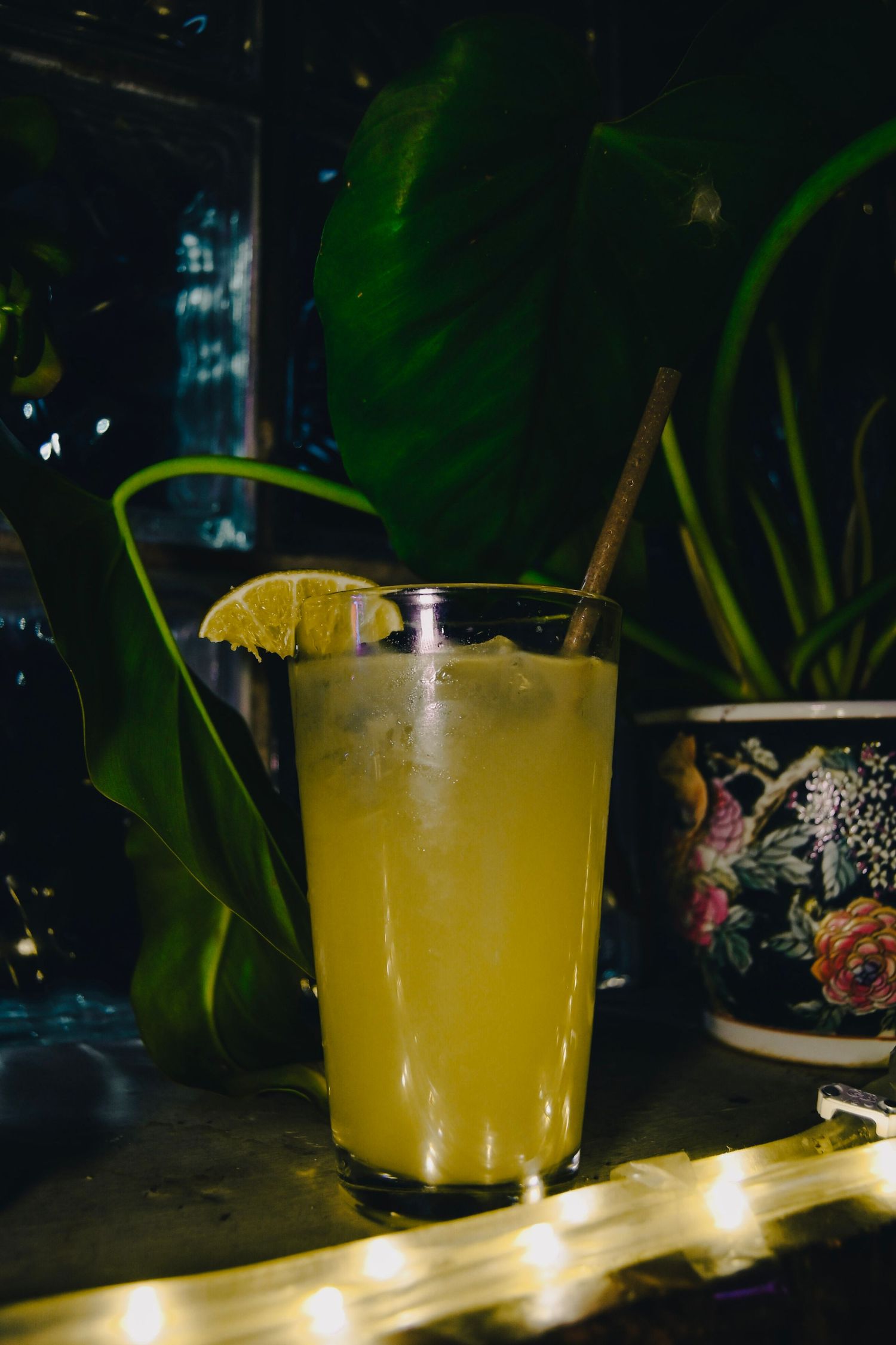 A tropical cocktail with orange juice and a lemon garnish sits on a dark bar counter with green plants in the background.