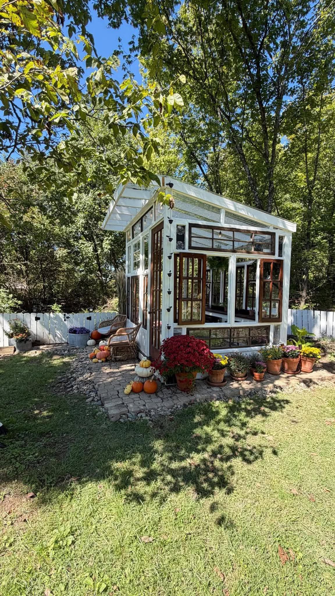 Charming DIY greenhouse made from reclaimed windows, decorated with fall pumpkins and colorful mums in a lush backyard.