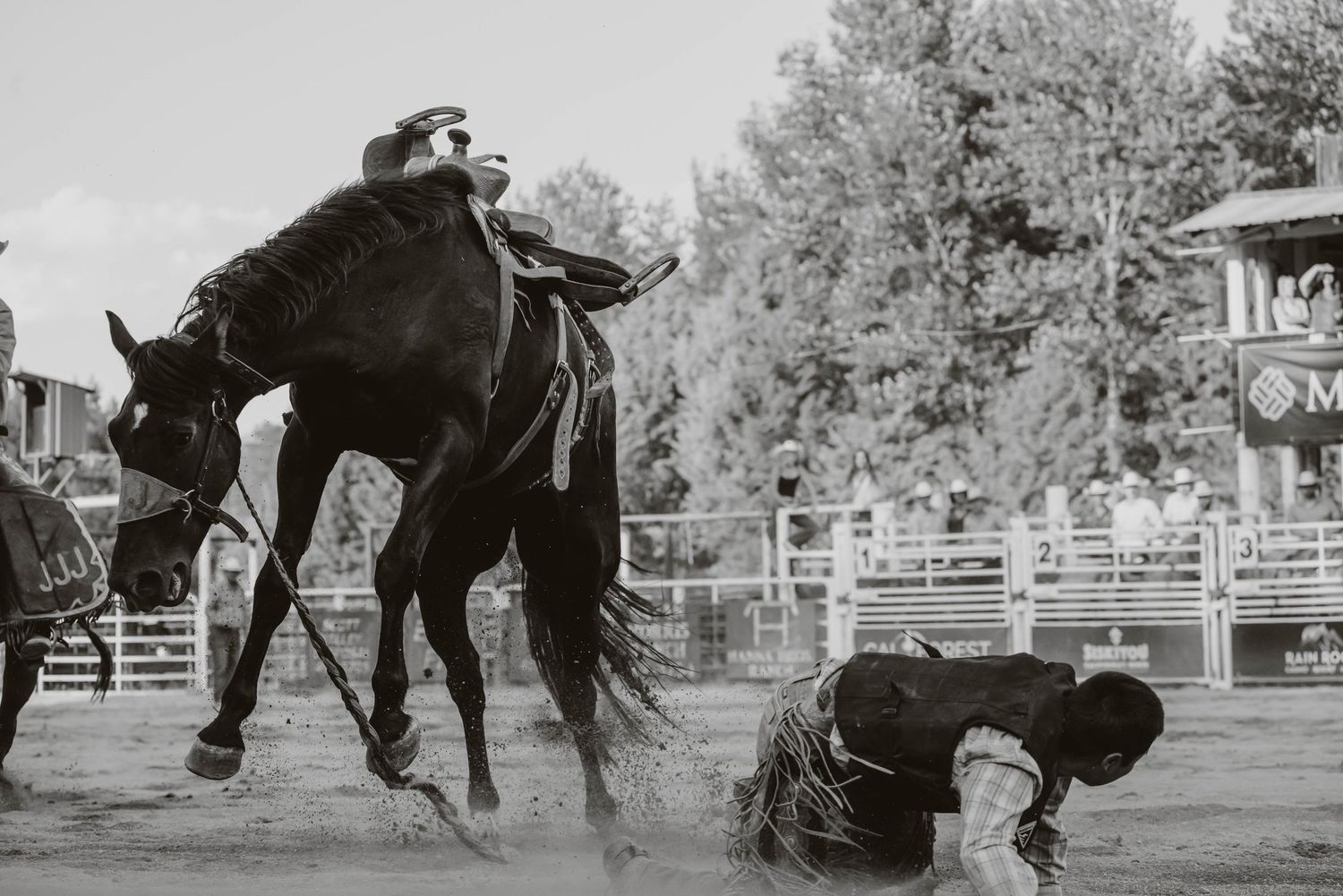 Sequence showing a rodeo participant being thrown from a bucking bronco in an arena.

Oregon Bronc Riding 
Rodeo Photography