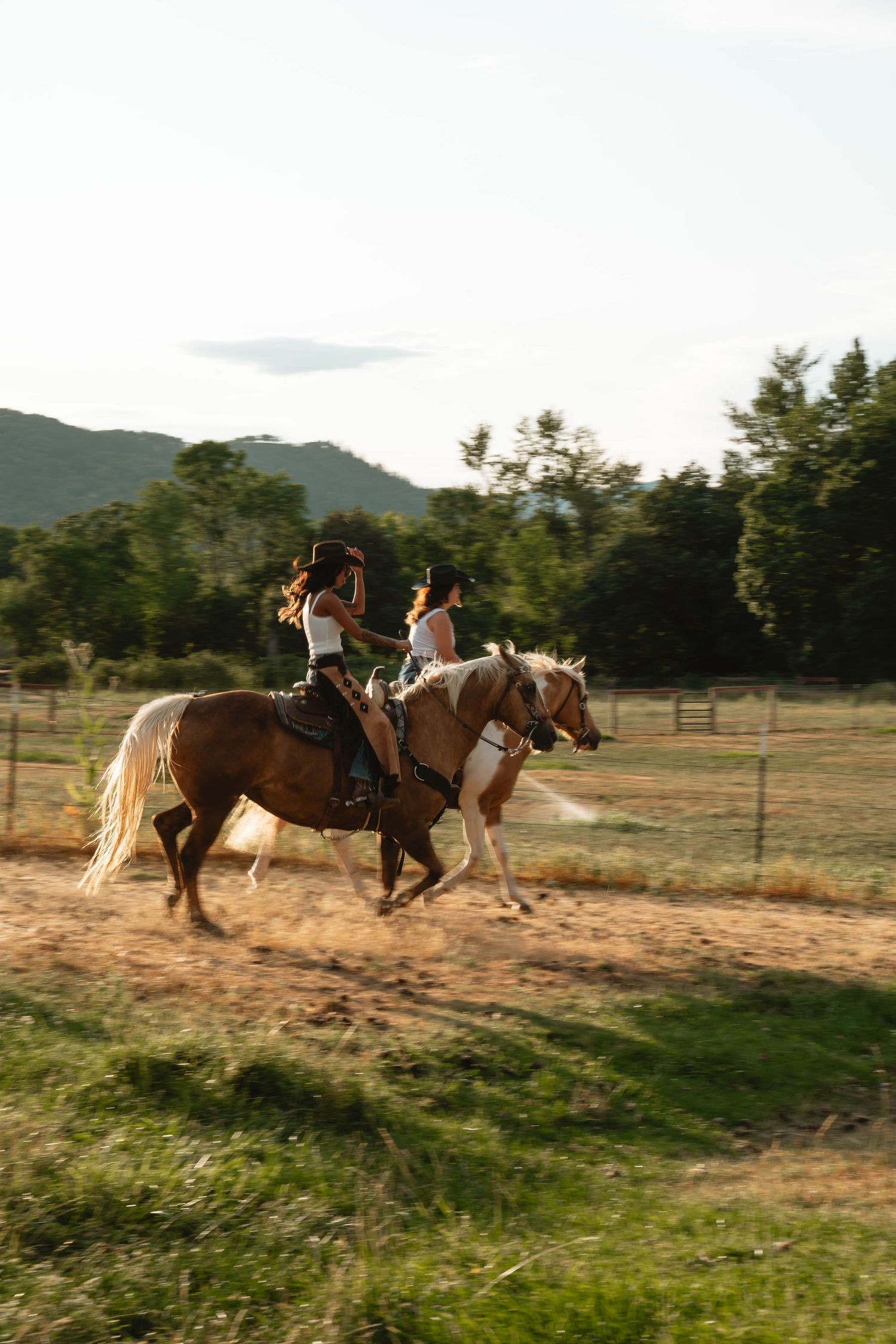 Horses gallop across a dusty field with mountains in the background at dusk.