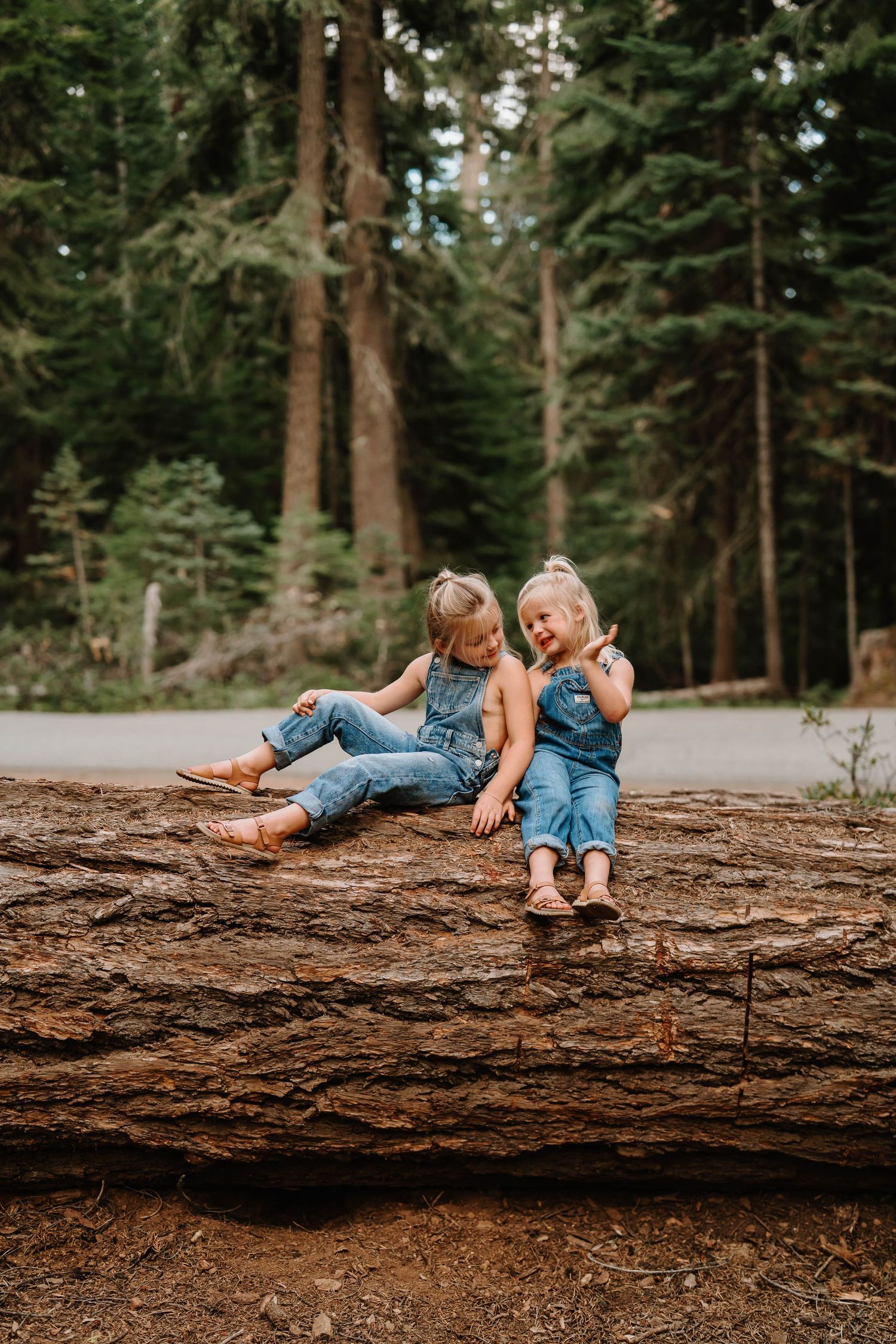 Candid moments captured of two people relaxing on a fallen log in a forest setting.
