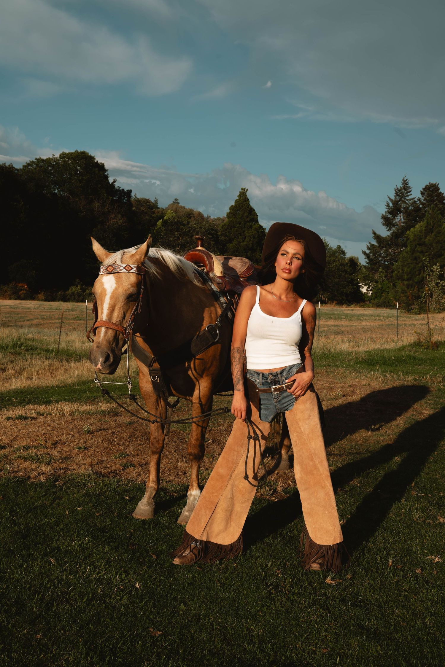 A horse and rider cast long shadows in a grassy field during golden hour sunset.