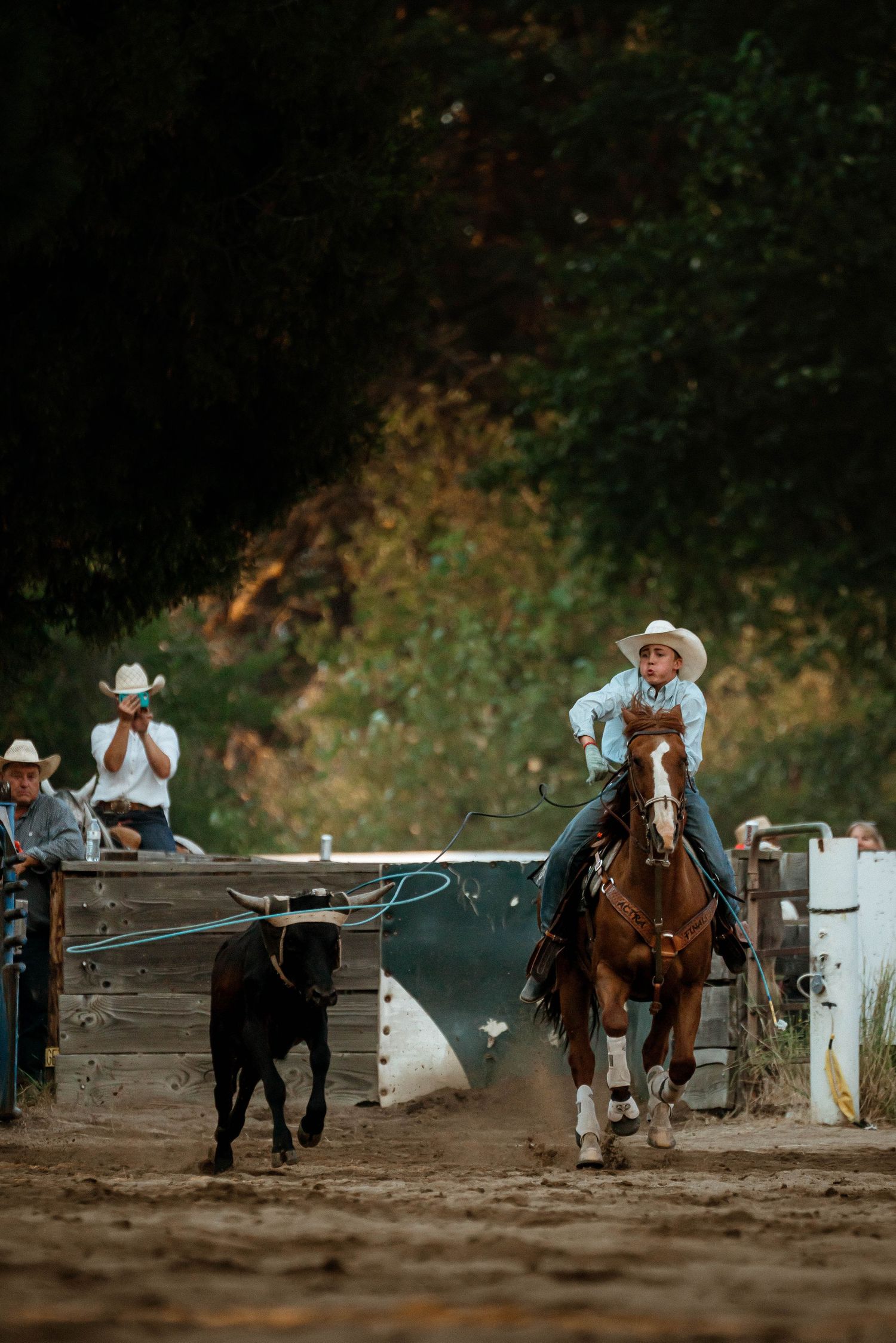Cowboys compete in a rodeo event along a wooden fence in late afternoon light.