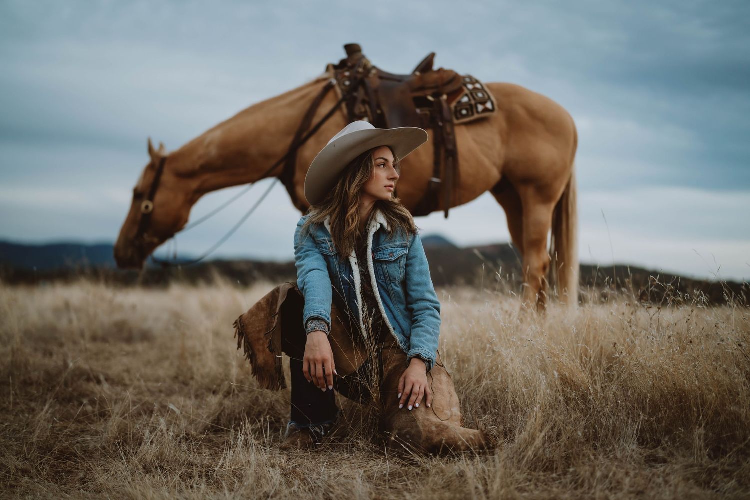 Artistic sequence of western ranch scenes with horses in golden grass.