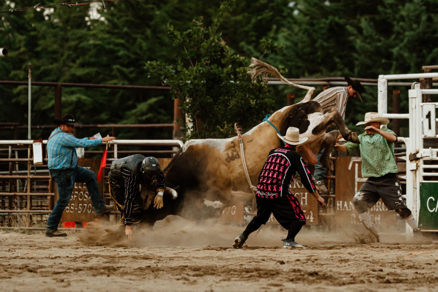 Rodeo bull charges through arena as safety personnel stand ready.