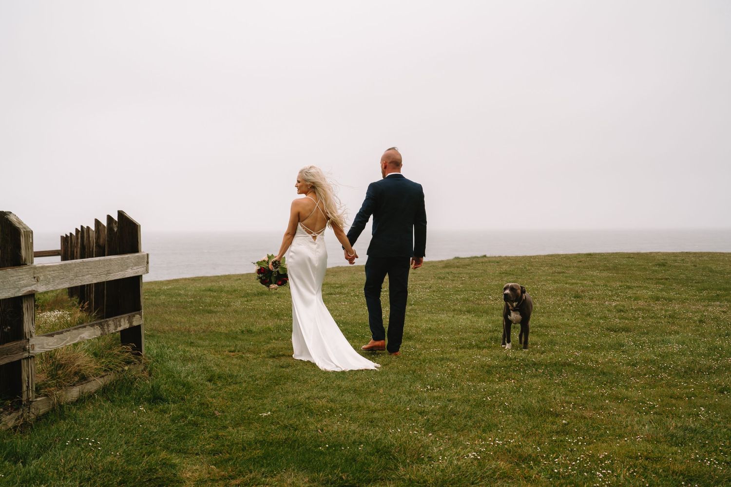 Wide landscape shot of bride and groom walking with their dog on a hillside.