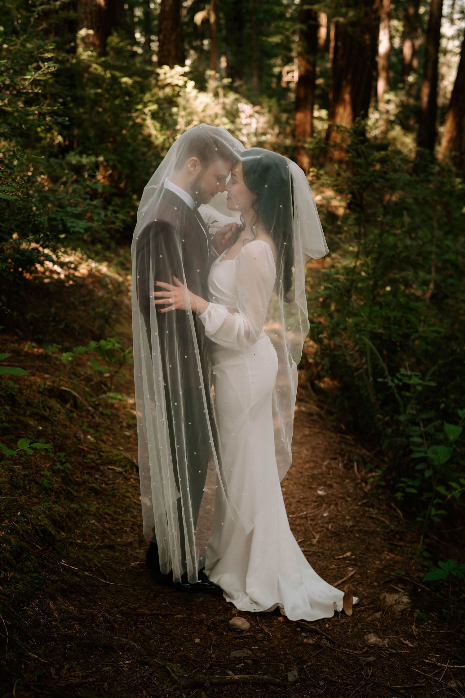 Oregon Redwoods Wedding couple embracing under a flowing veil in a forest setting.