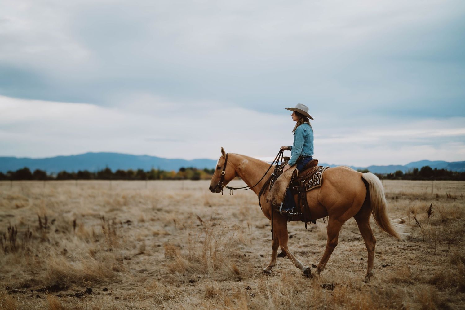 A series of horses and riders in silhouette against a cloudy sky in an open field.