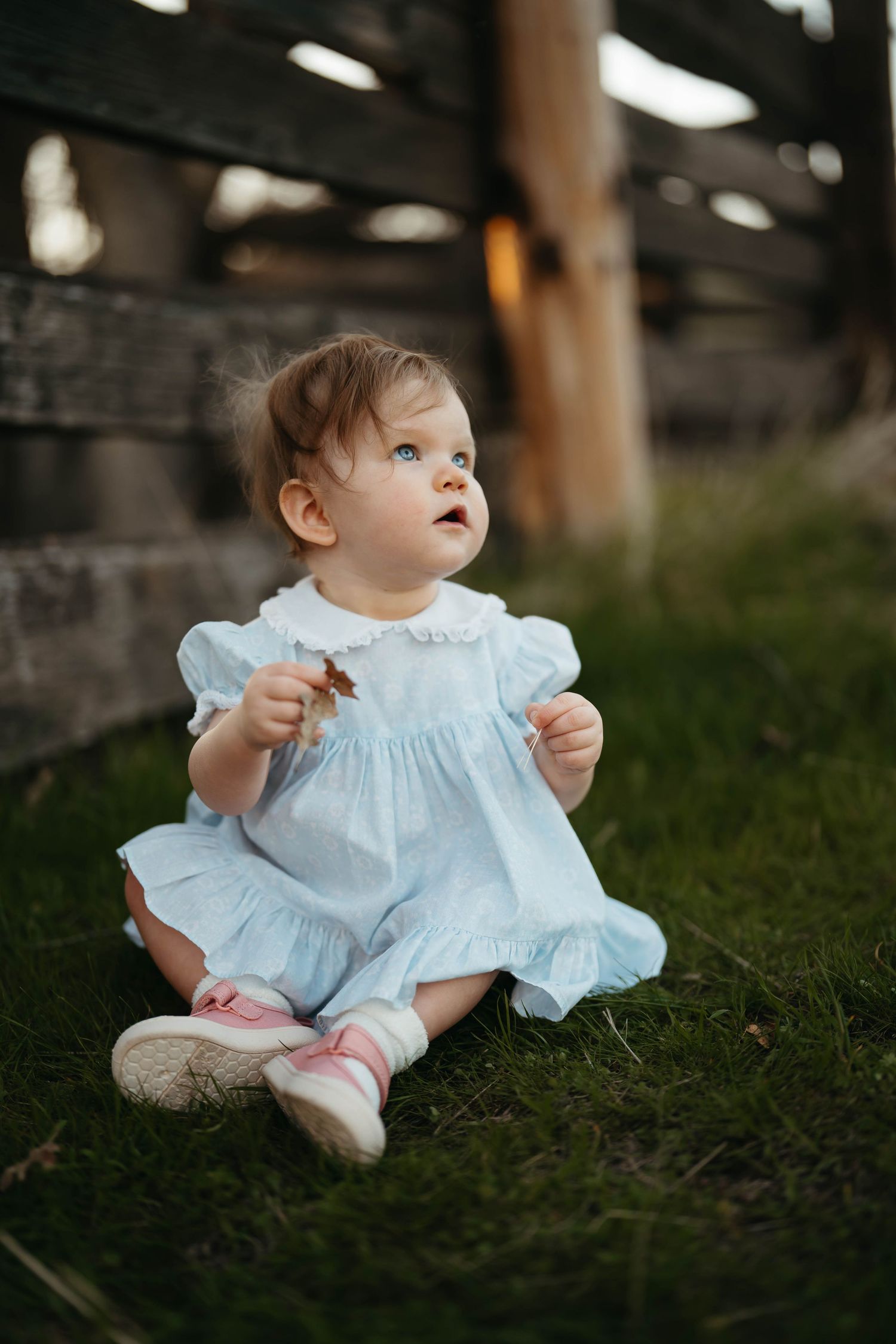 Baby in white ruffled dress sitting on grass looking upward.