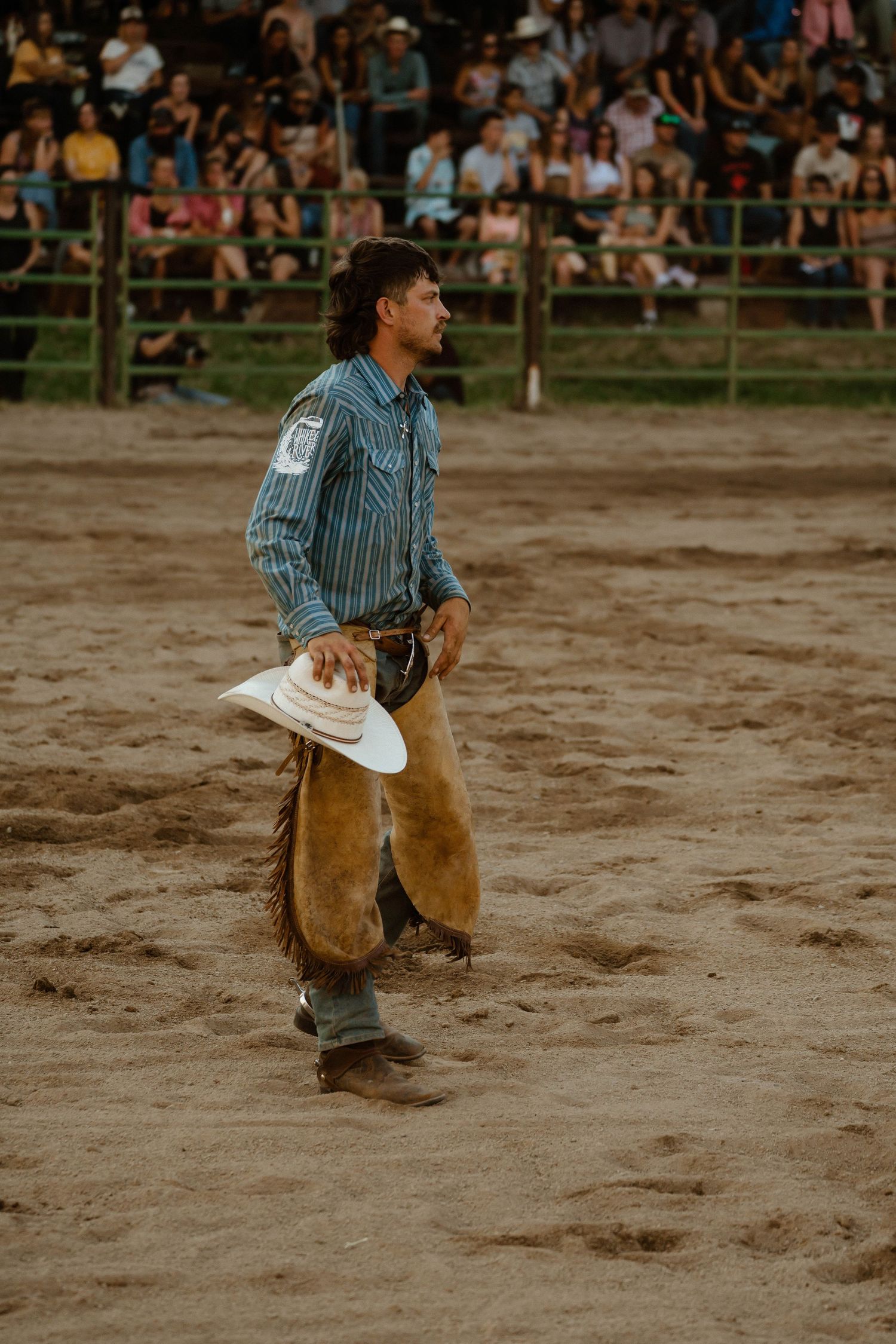 Cowboy in striped shirt and chaps performing in dusty rodeo arena.
