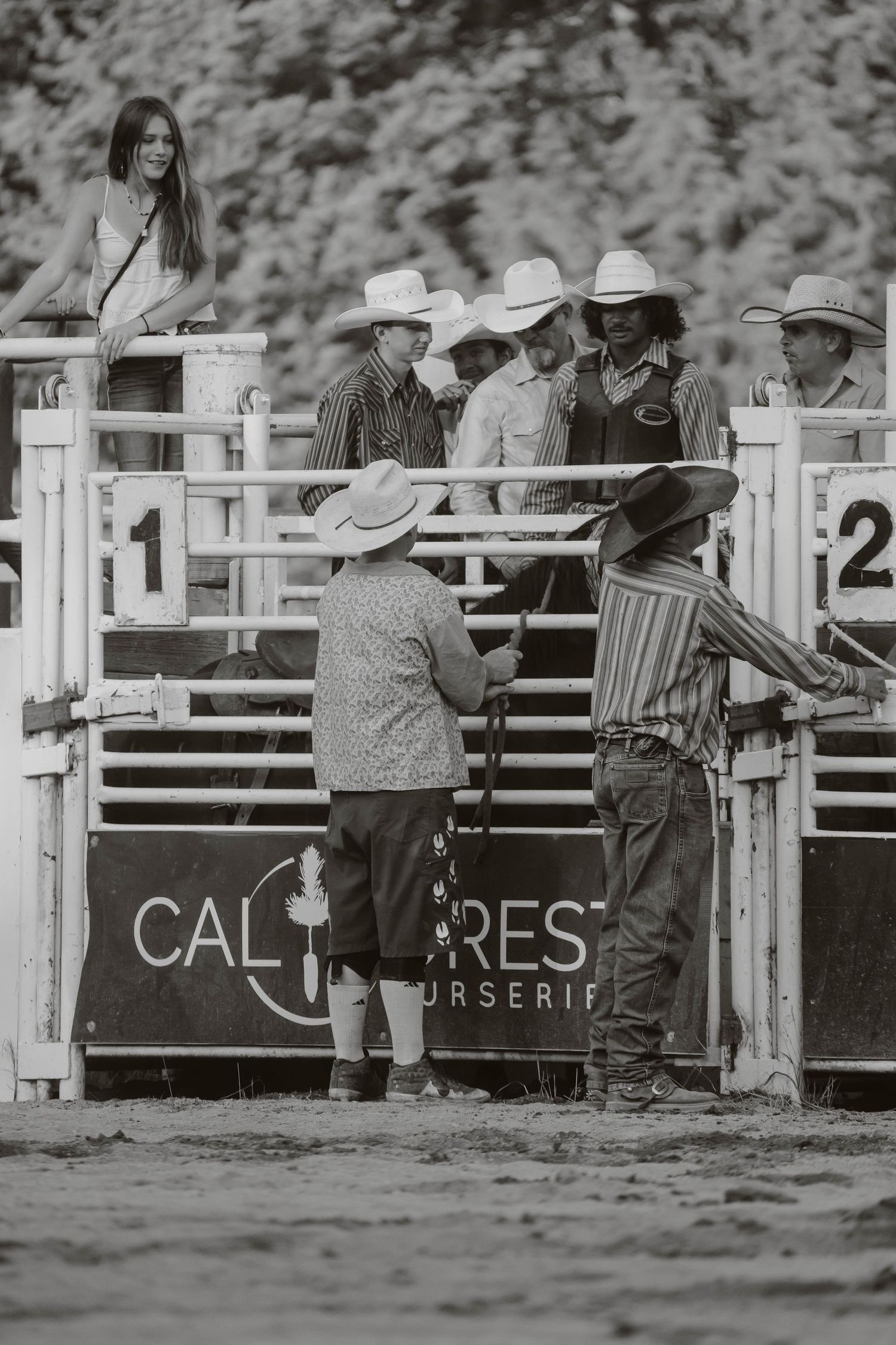 Black and white photo of spectators and officials watching from behind rodeo arena gates.