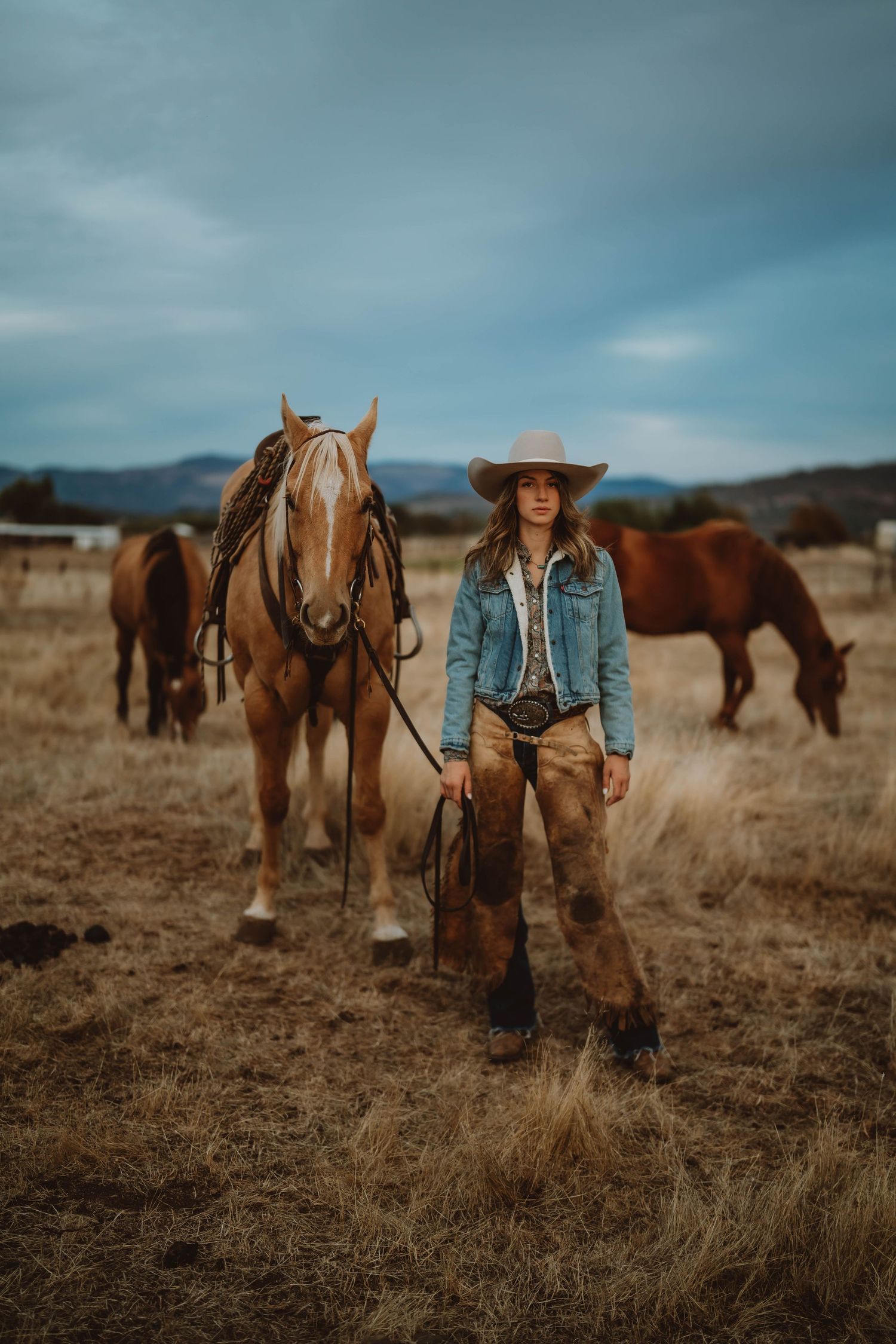 Western ranch scene with horses and riders in a dusty field under cloudy skies.