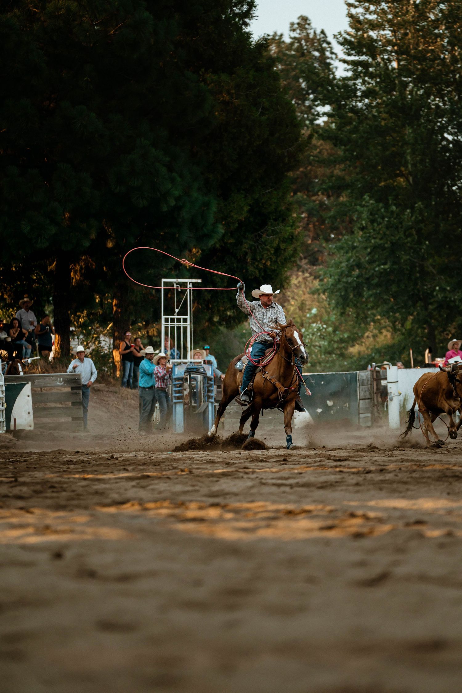 Wide angle shot of a rodeo arena surrounded by trees with riders competing.