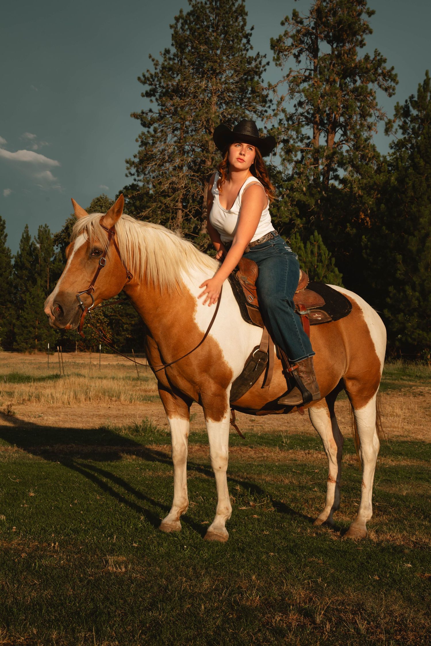 A paint horse stands in profile on grassy terrain during golden hour.