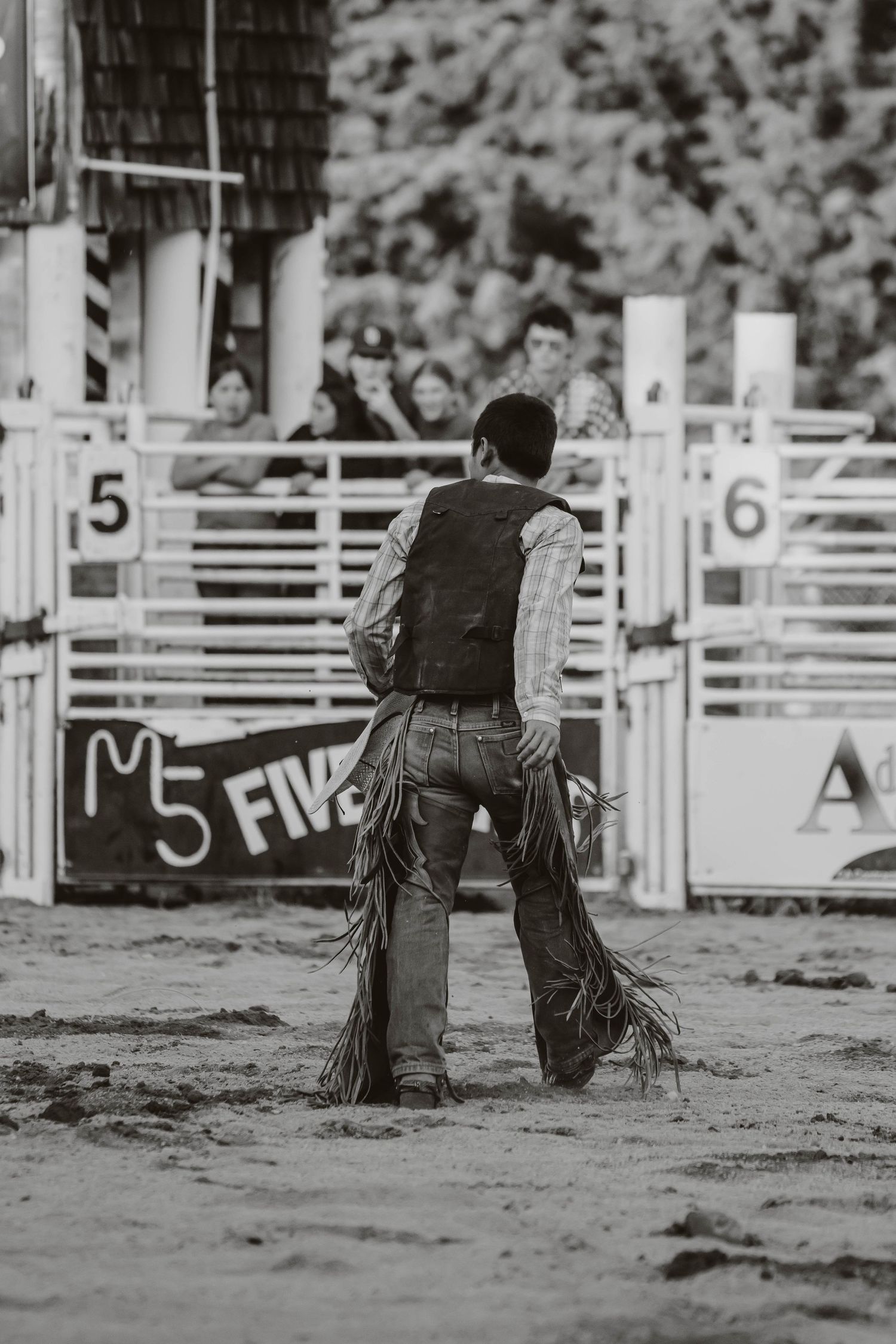 Black and white view of numbered rodeo arena gates with participants waiting.