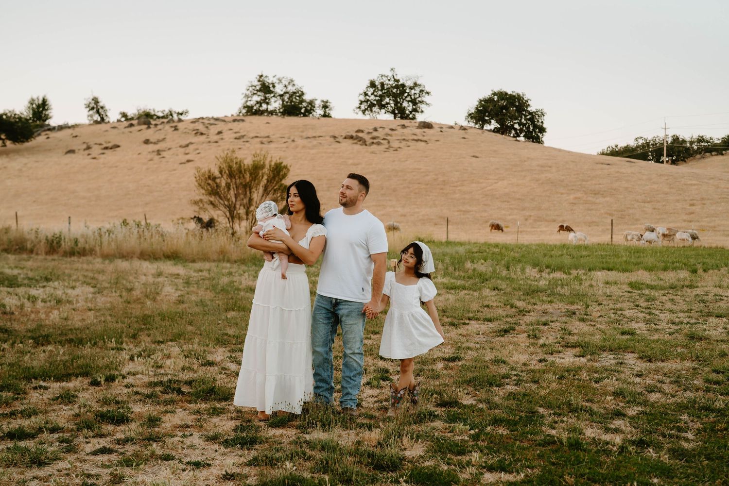 Family photoshoot in a golden field during sunset with mountains in the background.