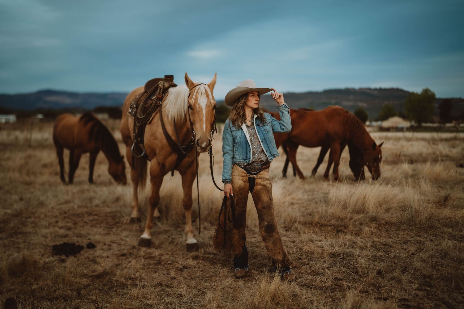 Panoramic view of horses grazing in a dry grassland with mountains in the background.