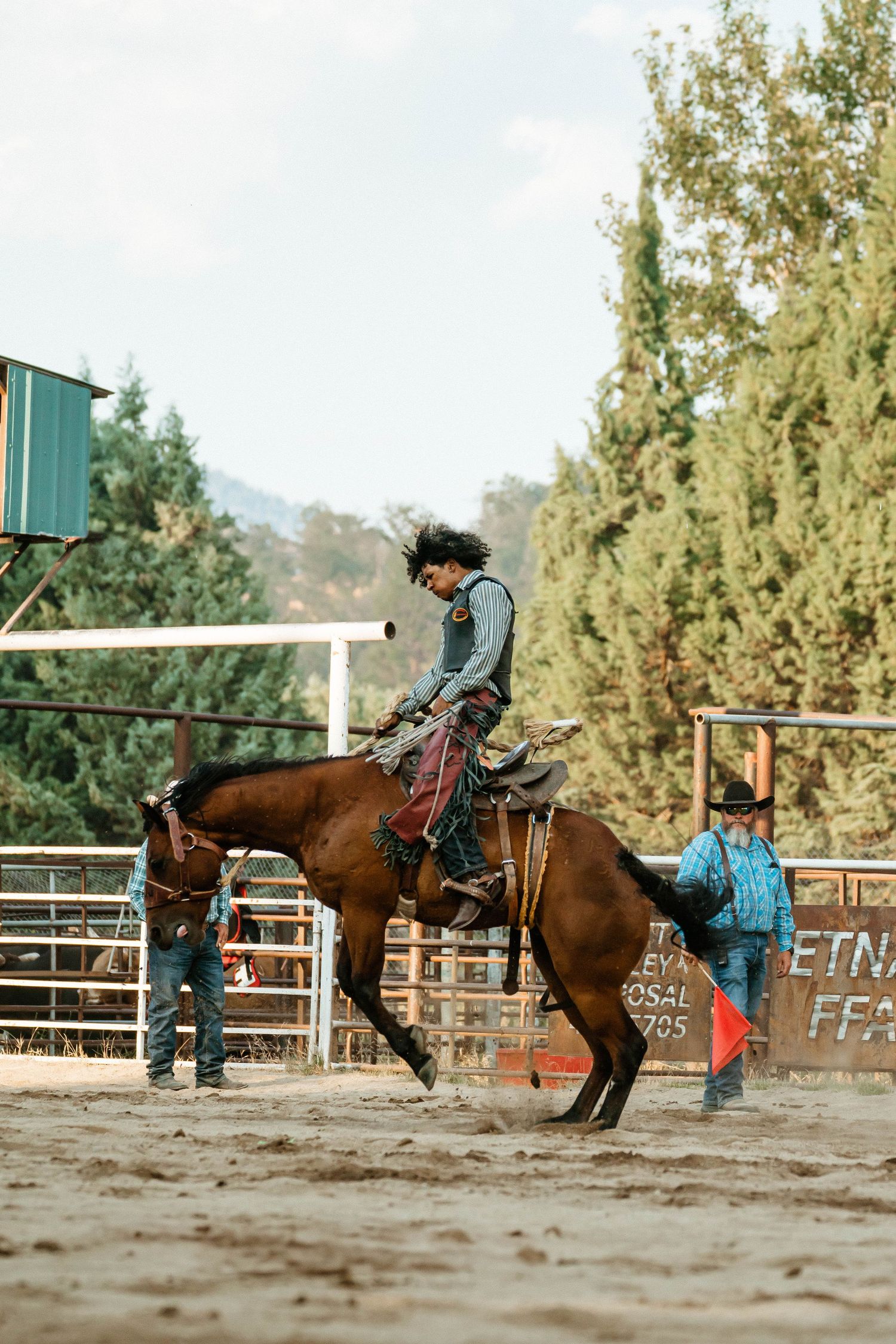 A series of action shots showing a bucking bronco throwing its rider at a rodeo arena.