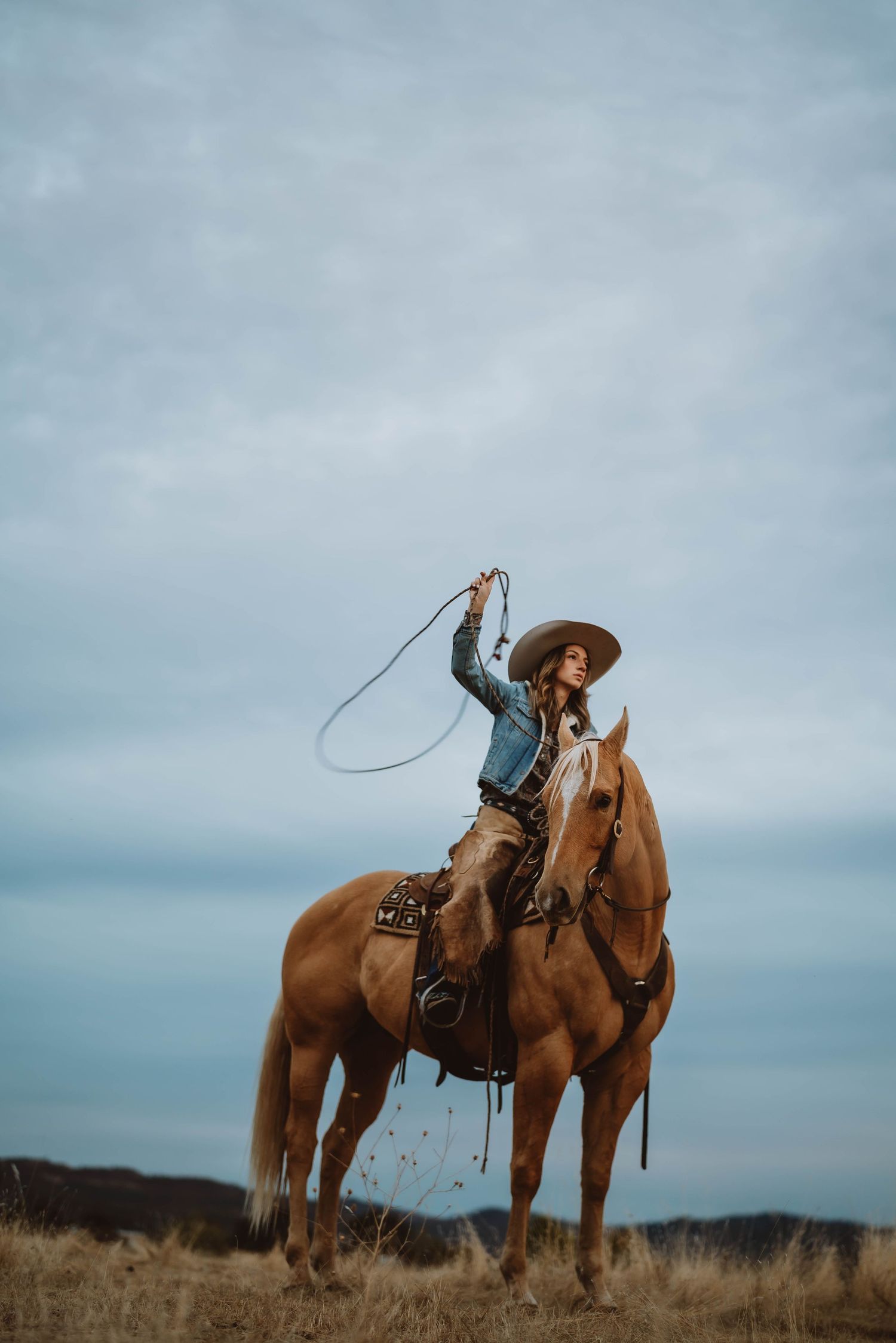 Brown horses with western saddles stand in a dry grassland against an overcast sky.