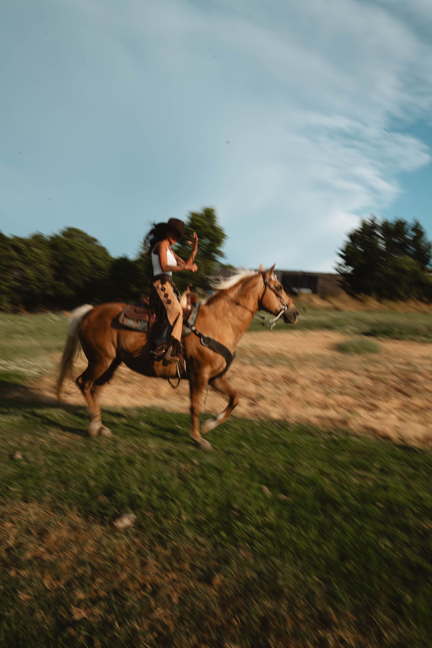 Horse and rider gallop across open field during golden hour.