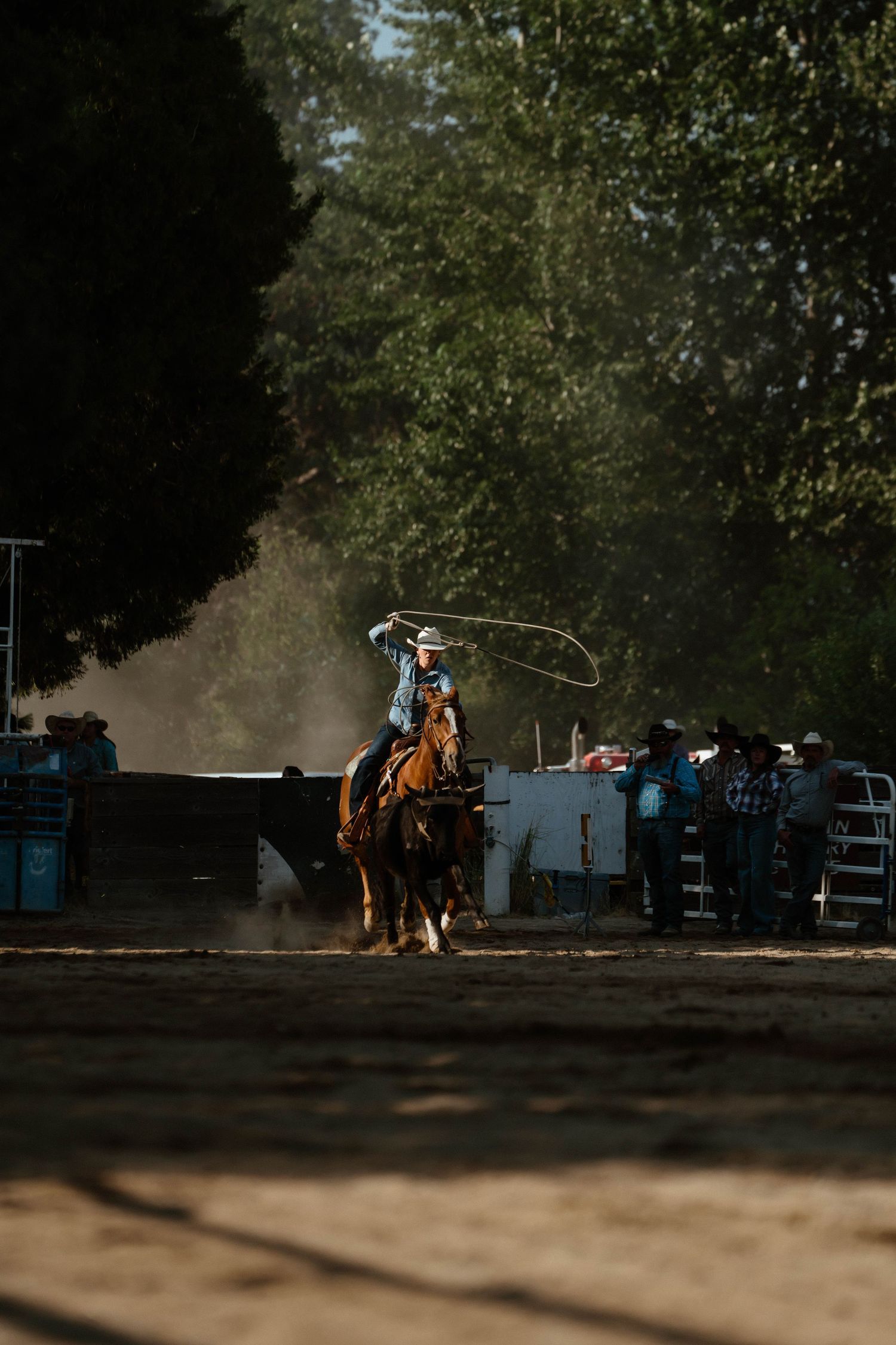 Silhouetted horse and rider competing in barrel racing against a shadowy background.