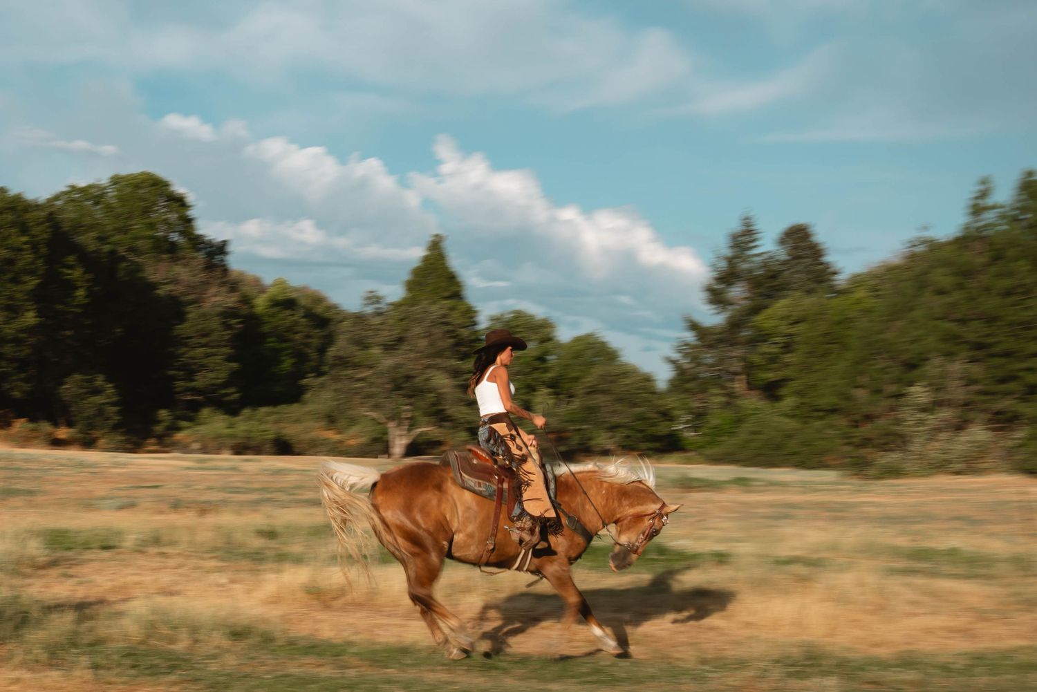 Horse and rider gallop across dusty field under blue summer sky.